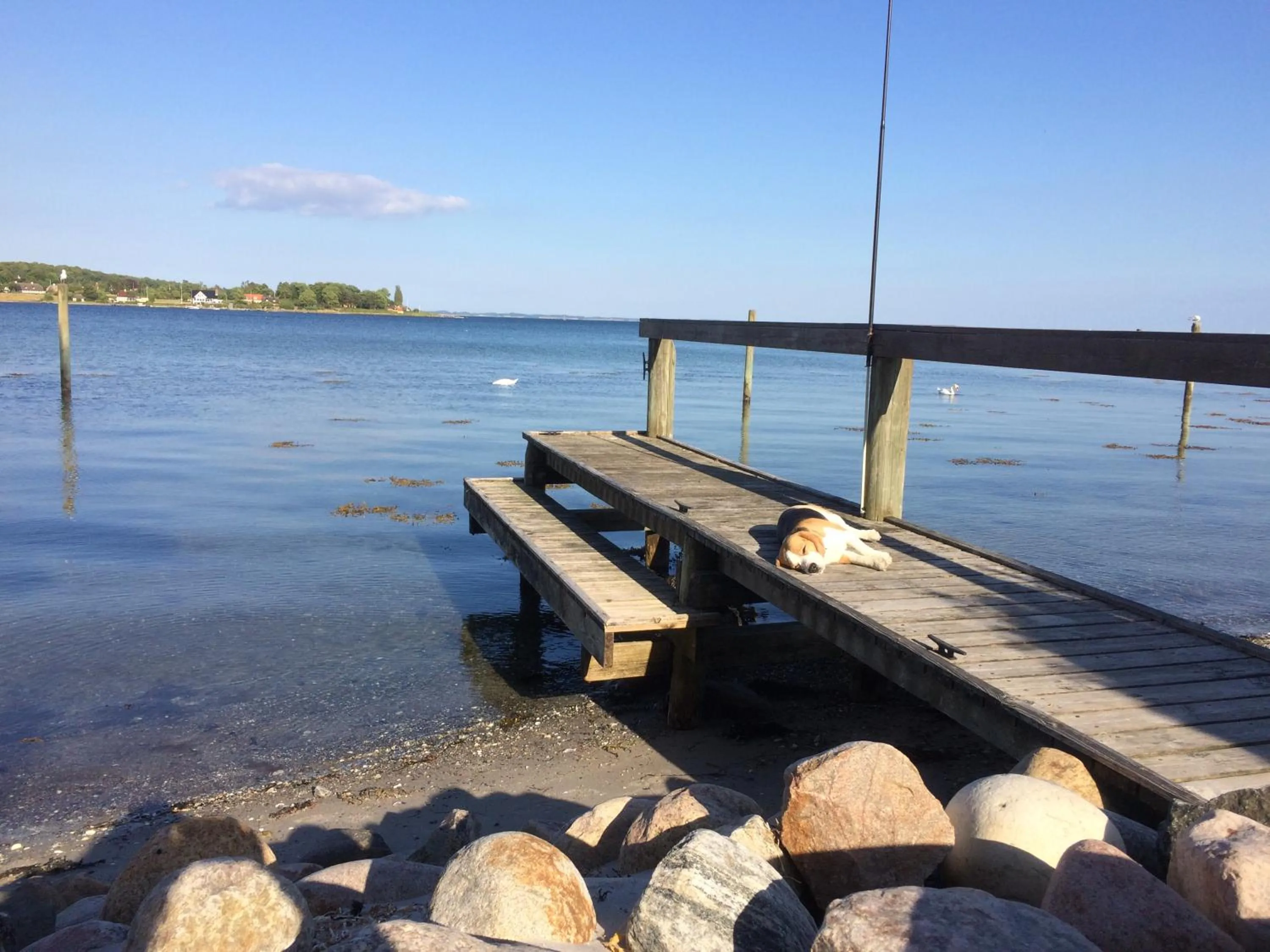 Beach in Troense Bed and Breakfast by the sea
