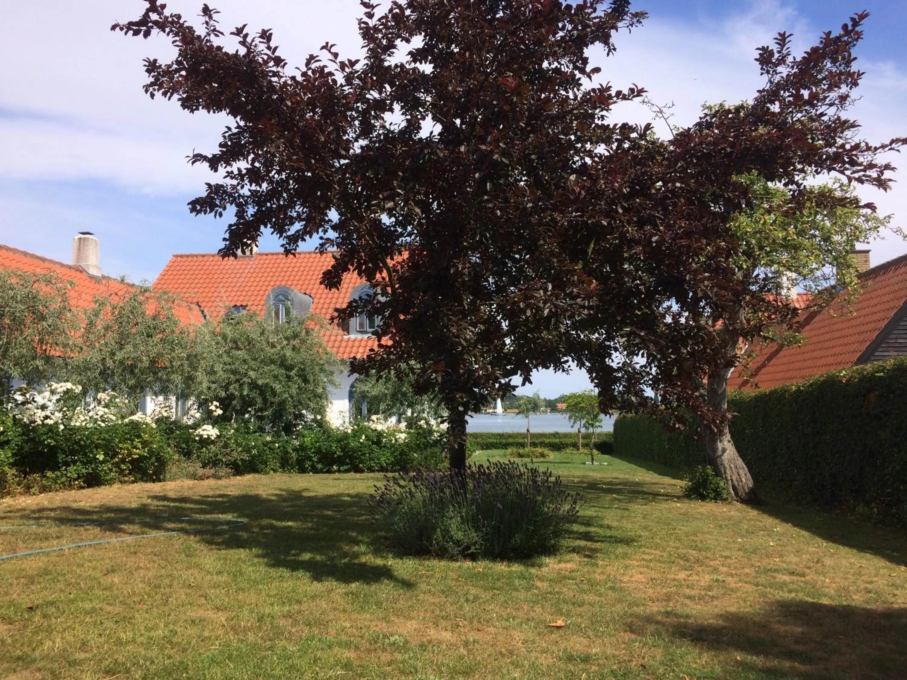 Garden view in Troense Bed and Breakfast by the sea