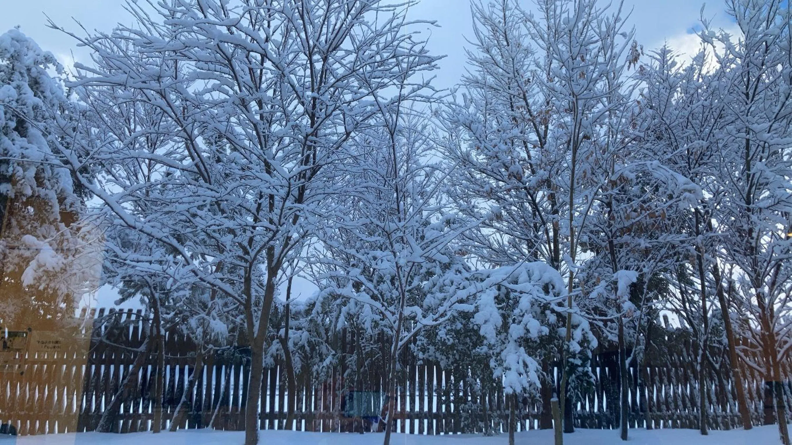 Neighbourhood in Shonai Hotel Suiden Terrasse