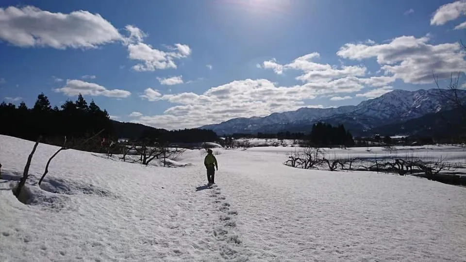 Shonai Hotel Suiden Terrasse
