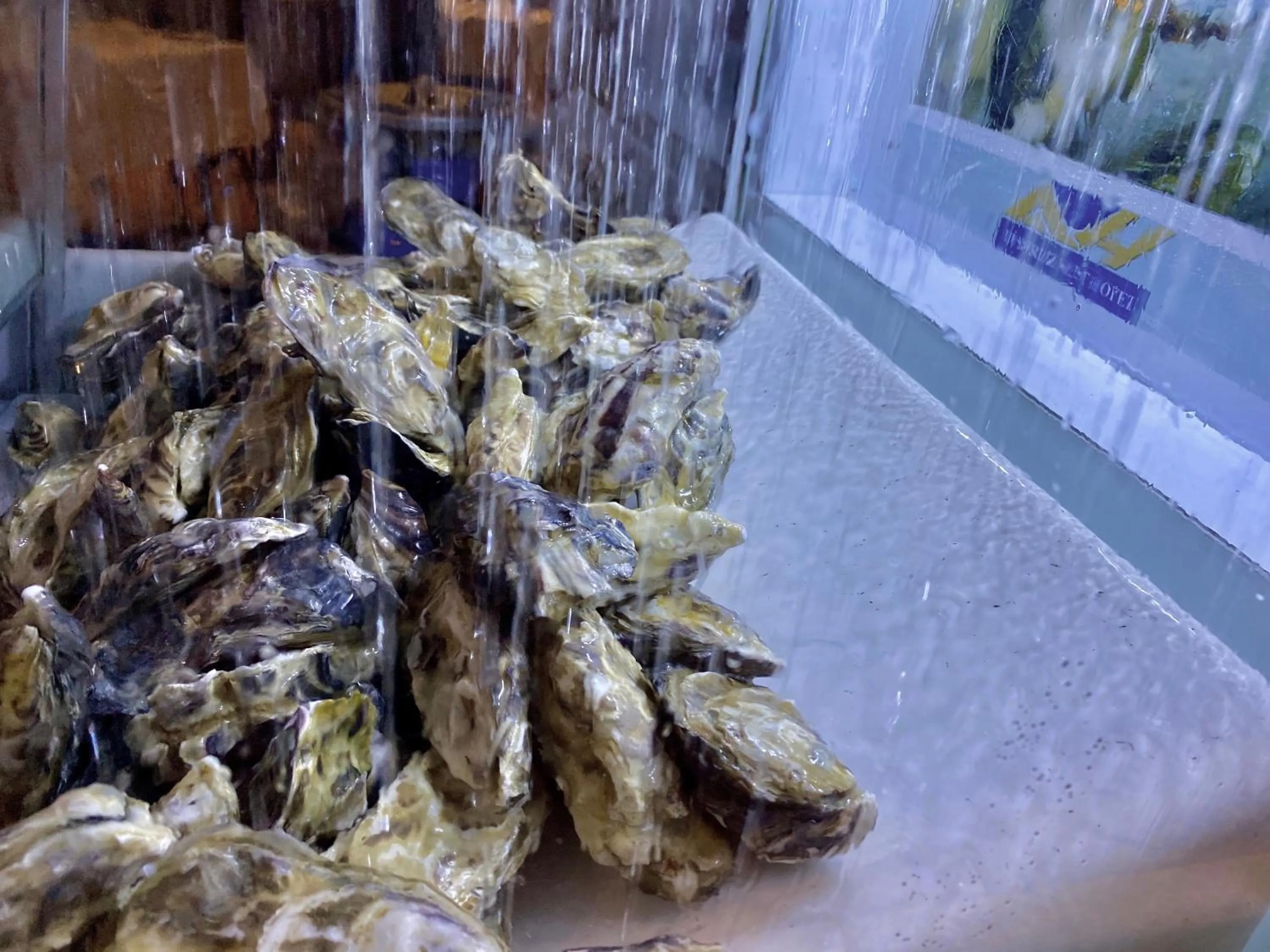 Restaurant/places to eat in Lüderitz Nest Hotel