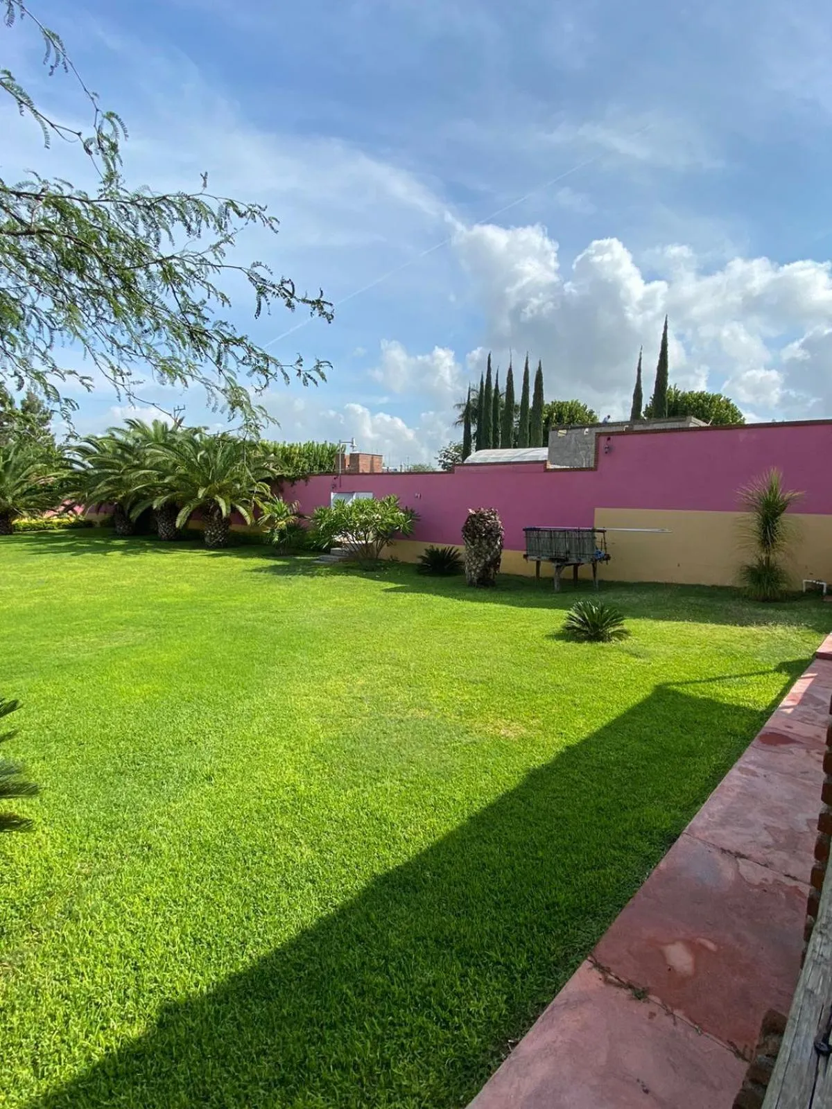 Garden in Hotel La Estancia