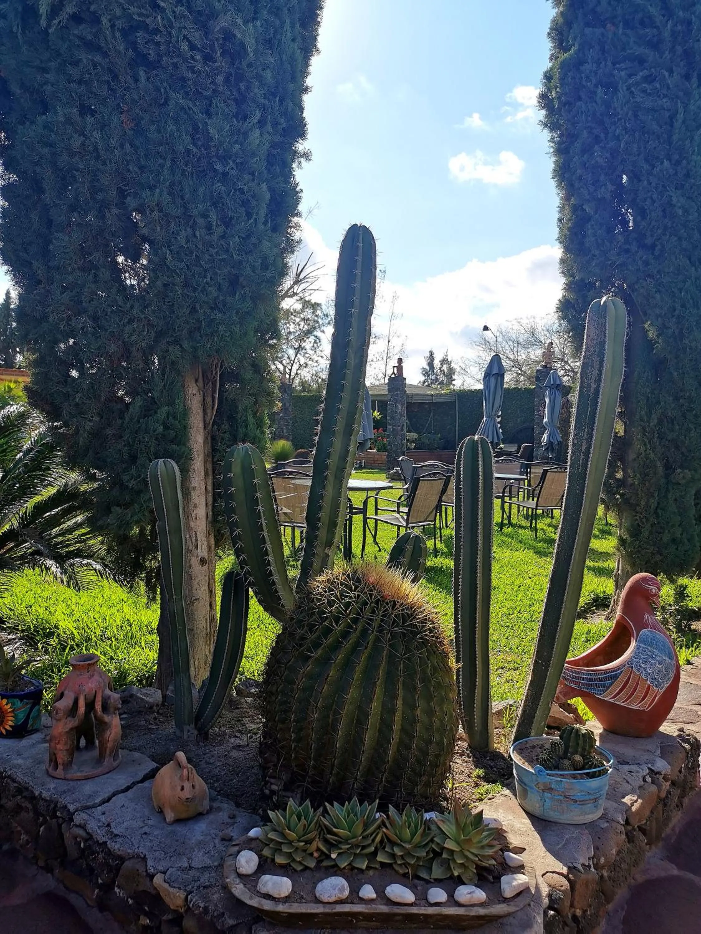 Garden in Hotel La Estancia