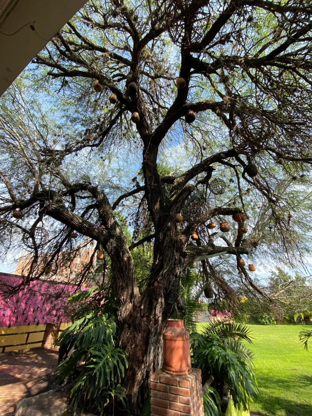Garden in Hotel La Estancia