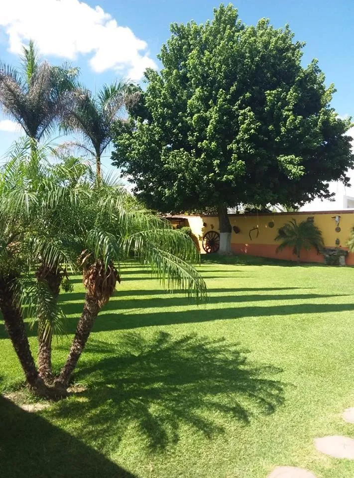Garden in Hotel La Estancia