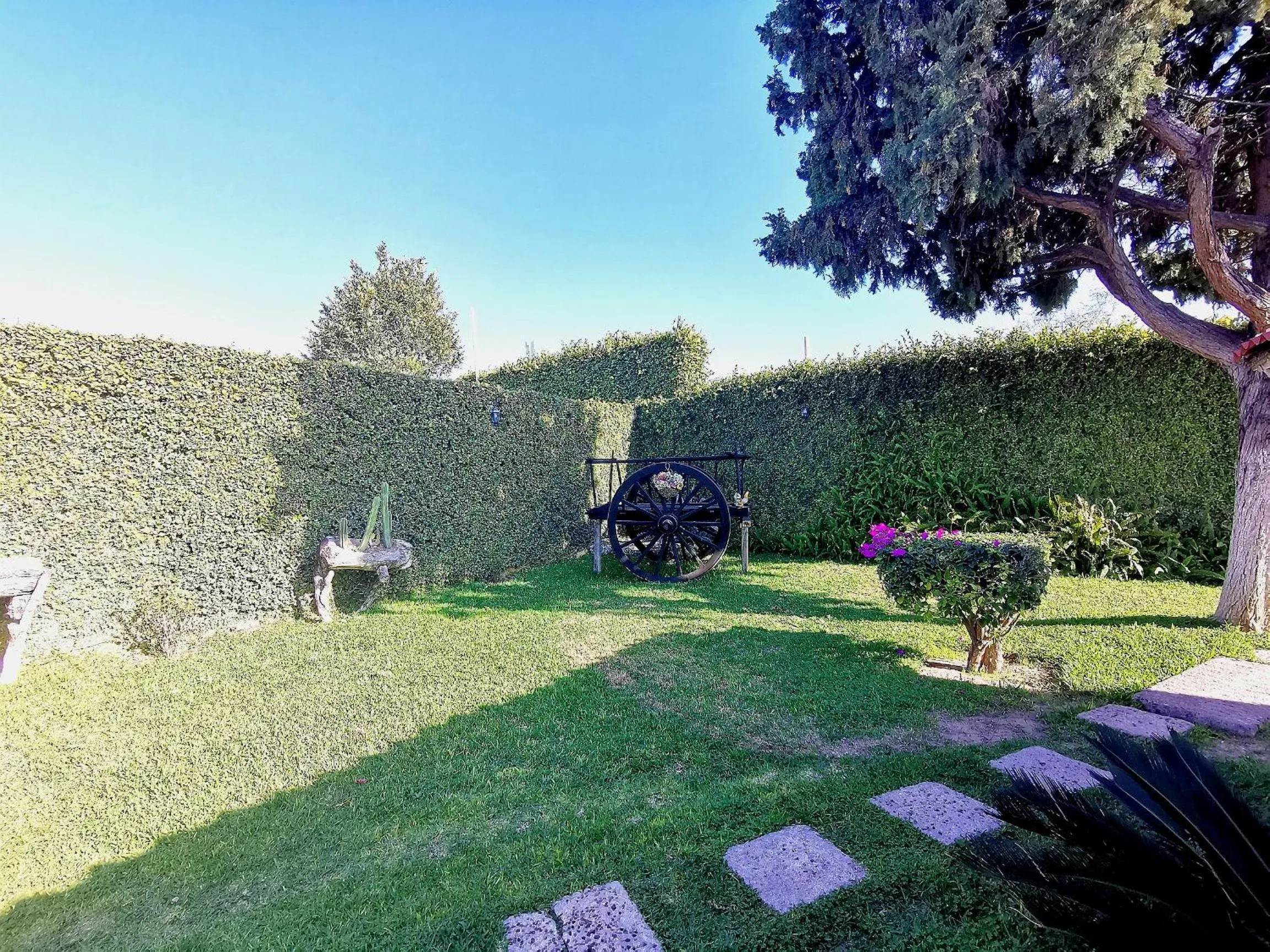 Garden in Hotel La Estancia