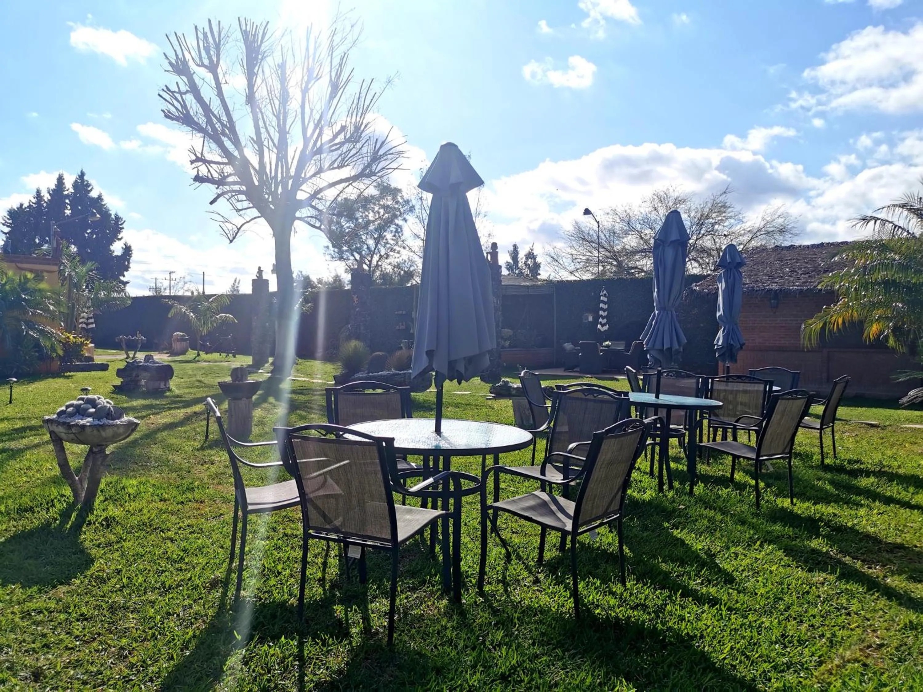 Garden in Hotel La Estancia