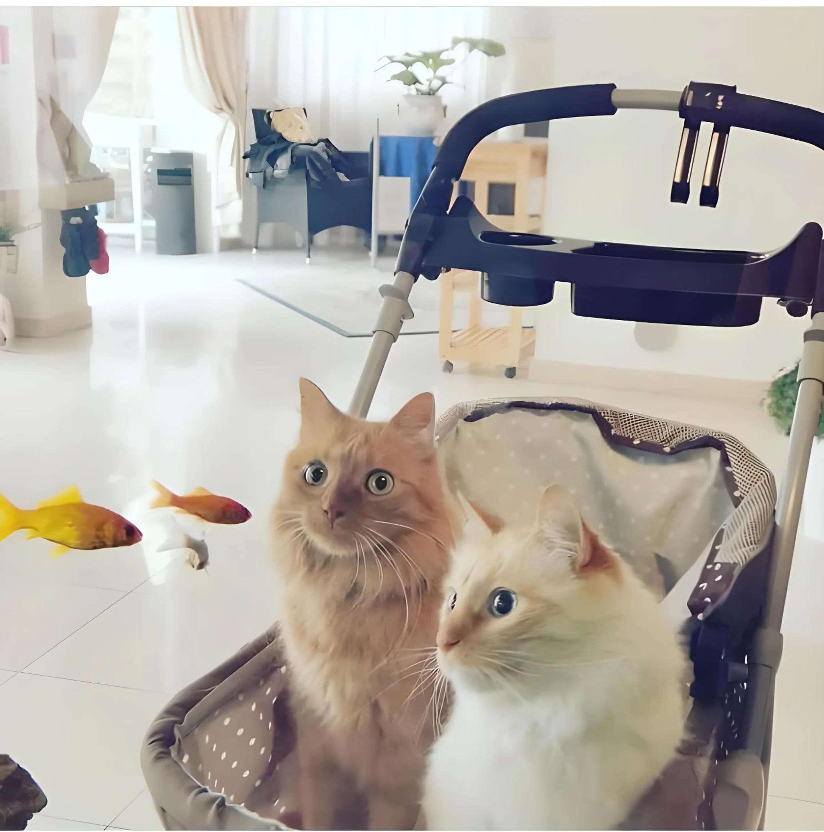 Lobby or reception in Hotel Il Gatto