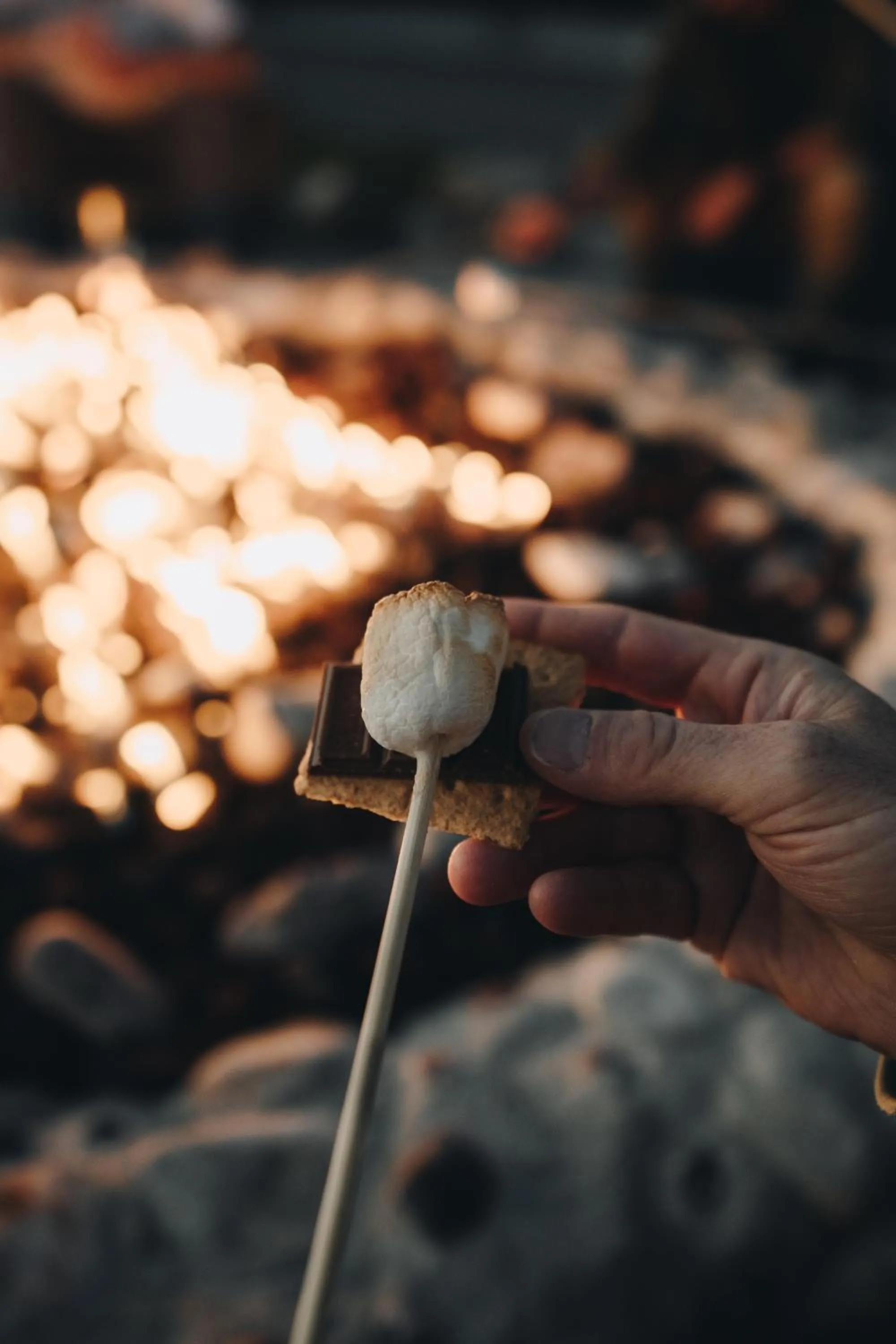 fireplace in Teton Valley Resort