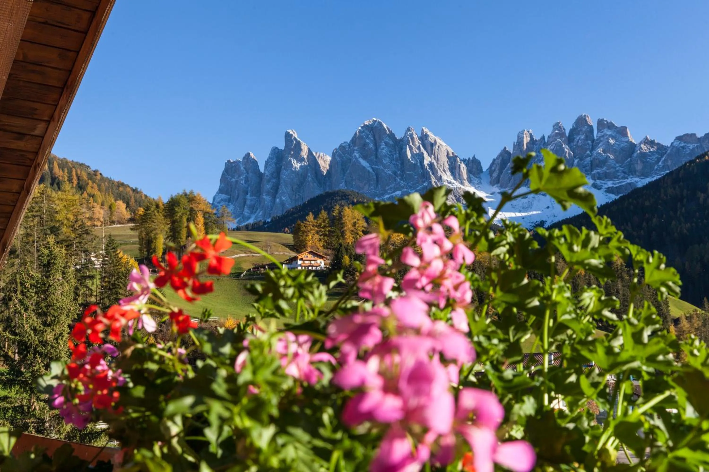View (from property/room) in Hotel Tyrol