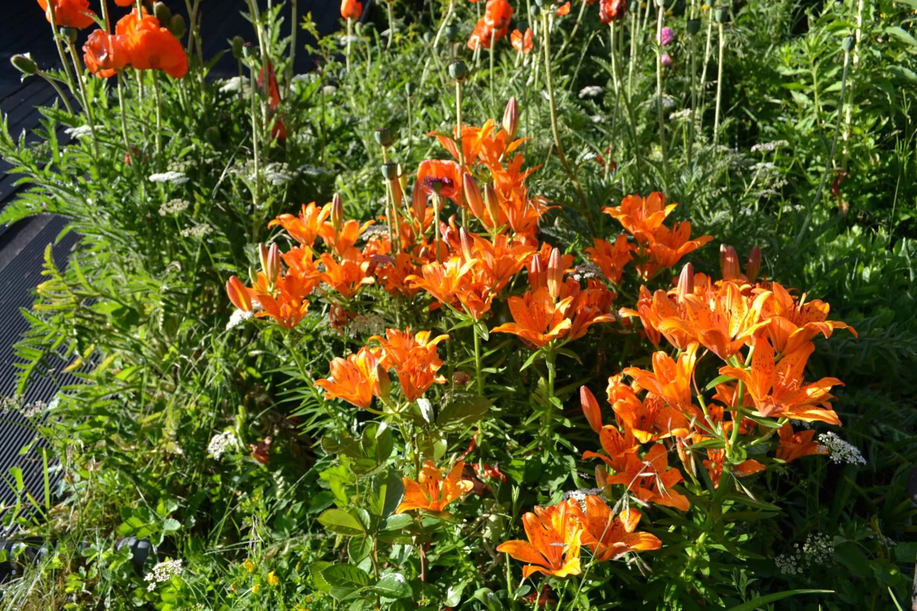 Garden in Hotel Tyrol
