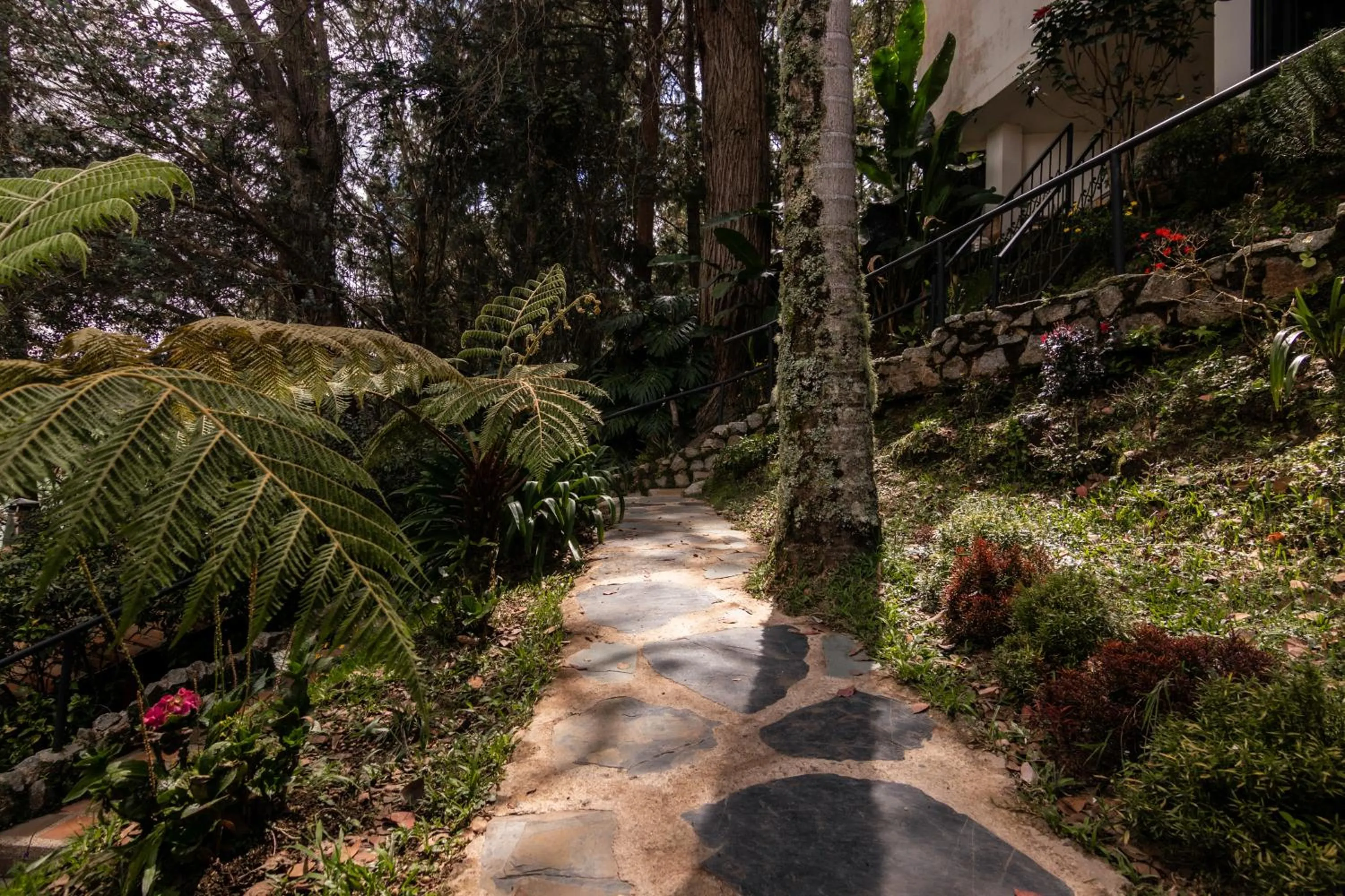 Serendipity Hospedaje Boutique