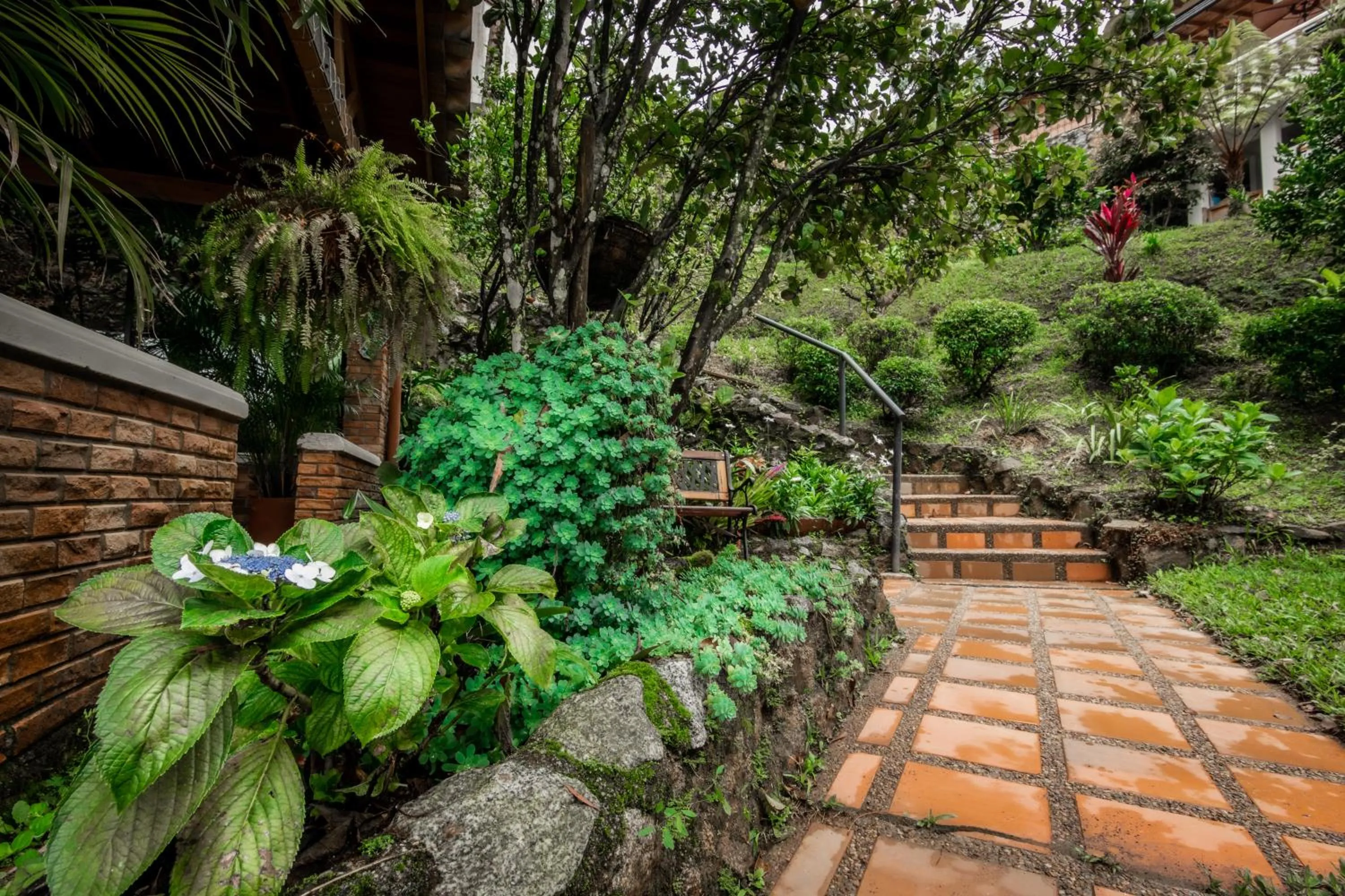 Serendipity Hospedaje Boutique