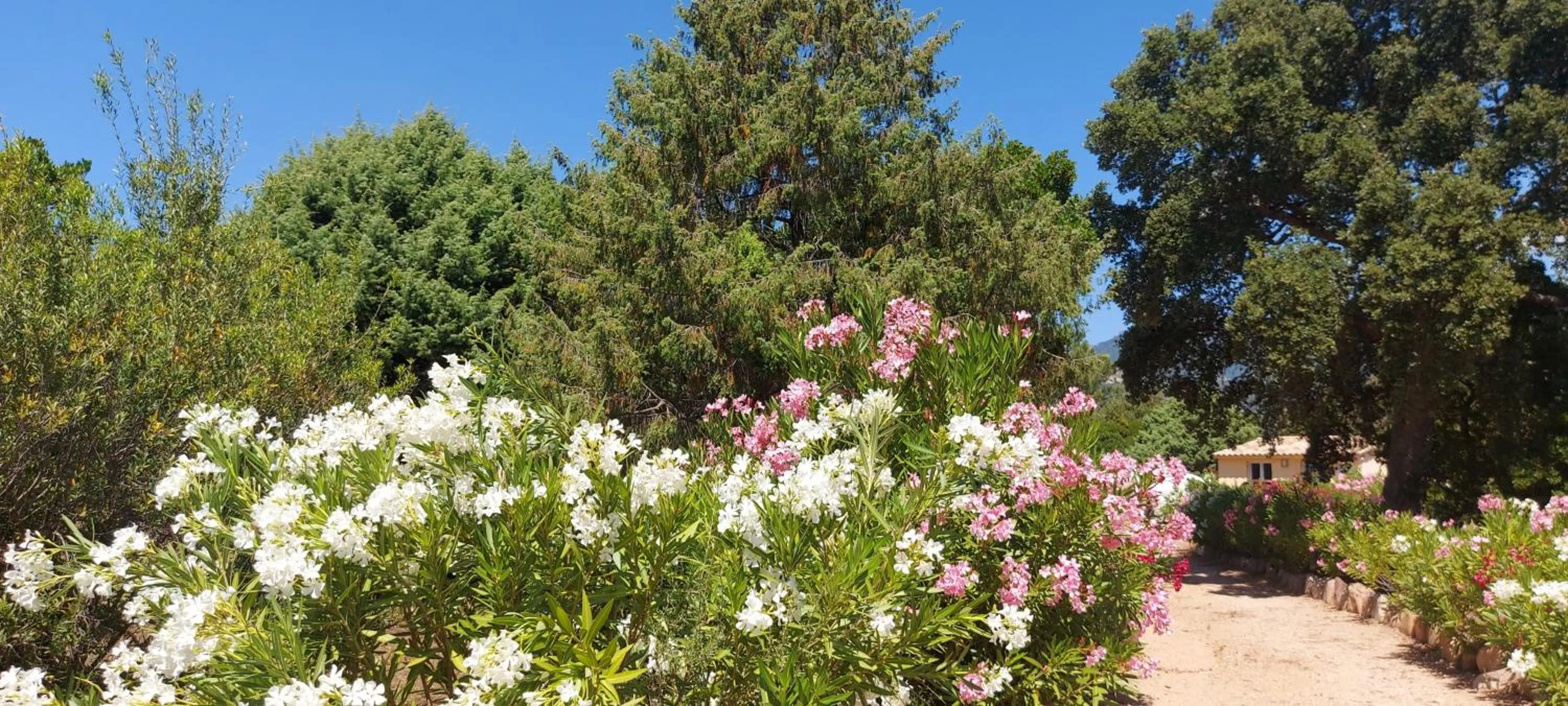 Garden in Residence Riviera