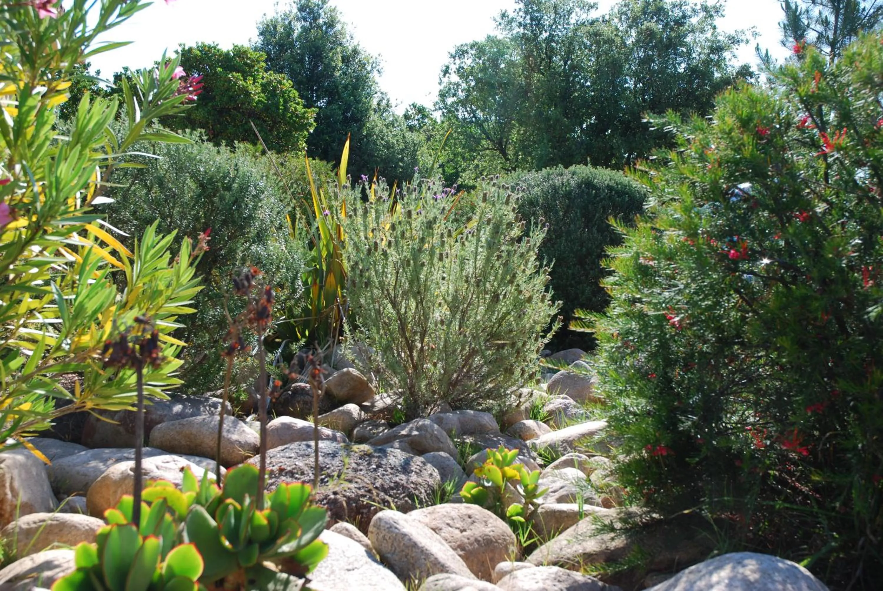 Natural landscape in Residence Riviera