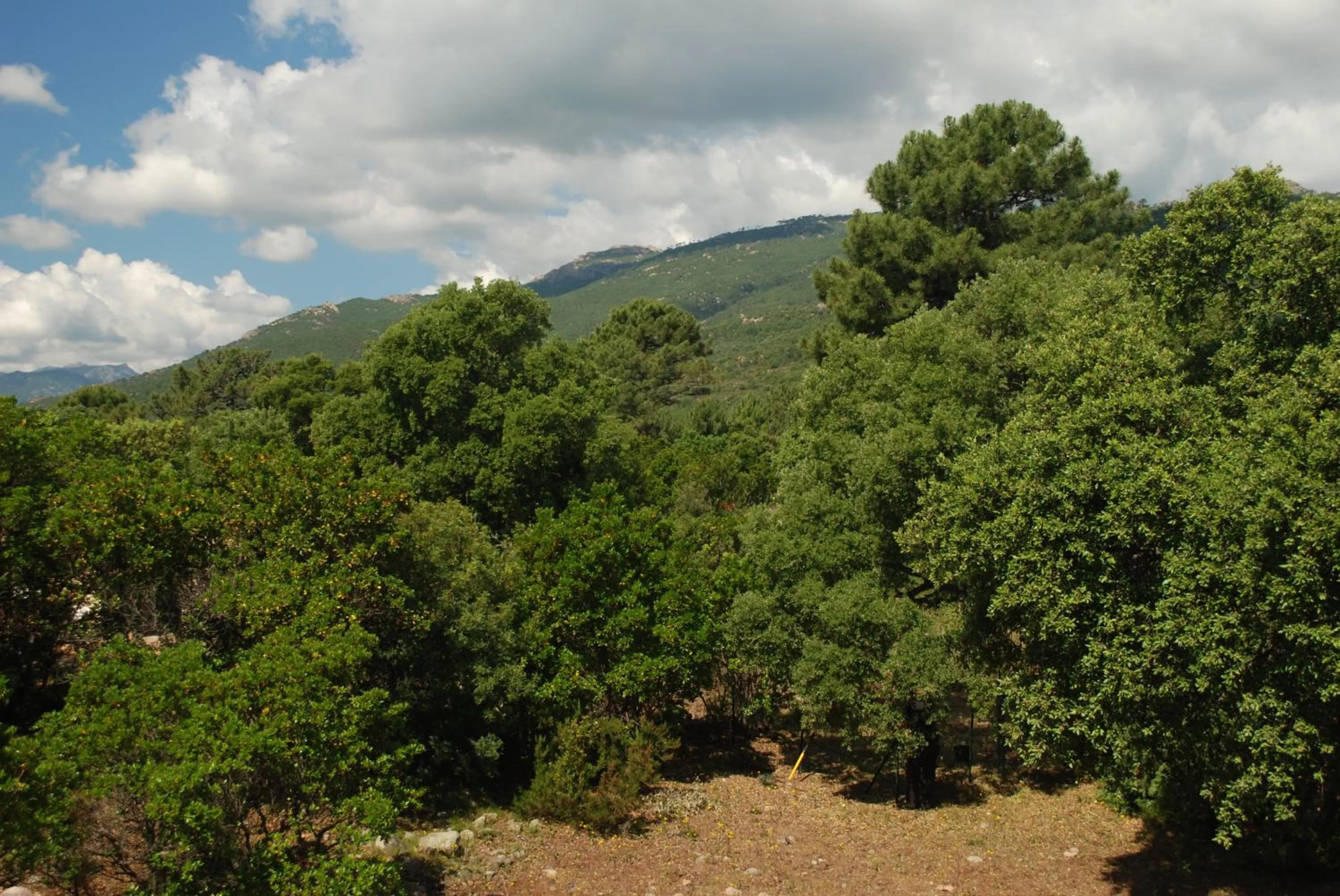 Mountain view in Residence Riviera