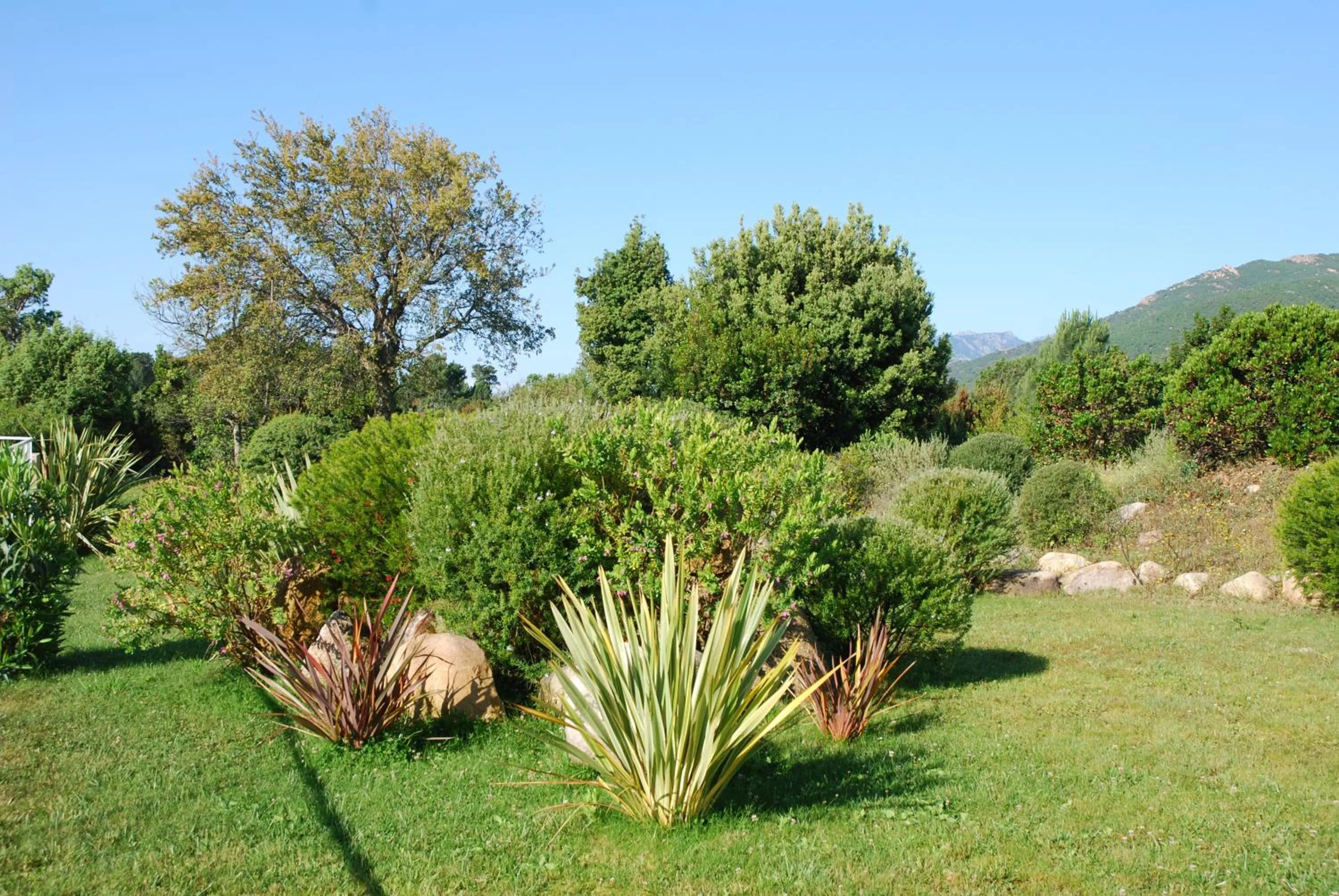 Natural landscape in Residence Riviera