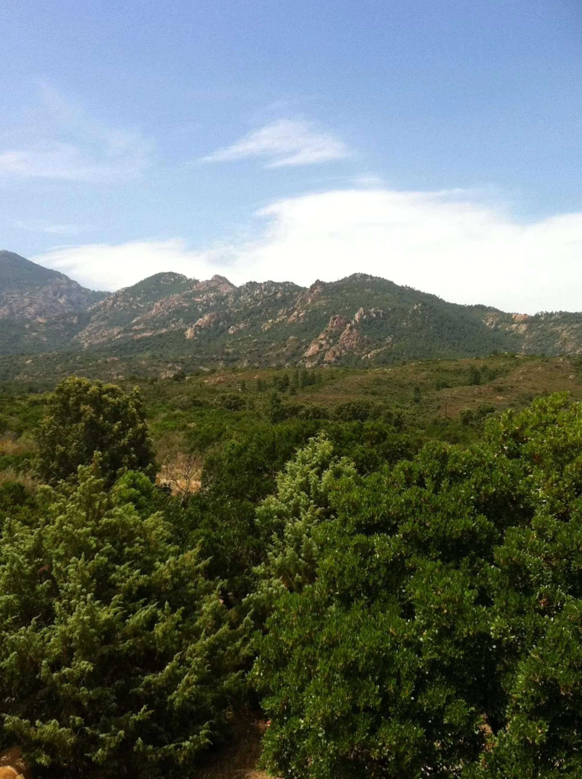 Natural landscape in Residence Riviera