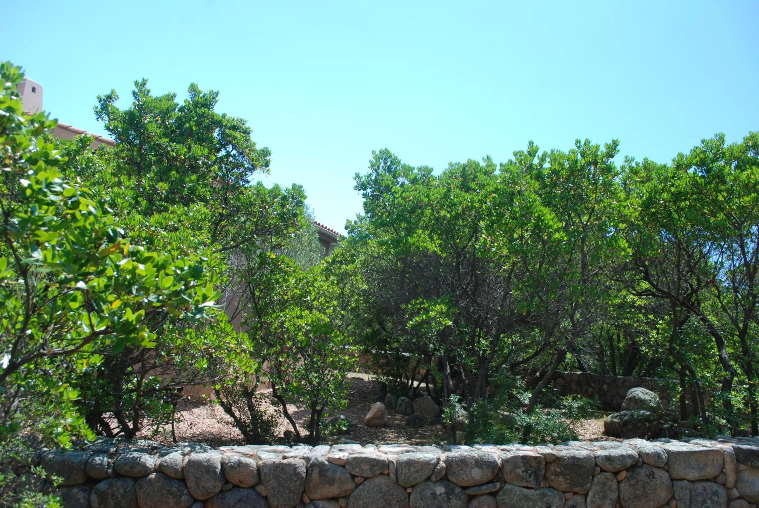 Garden view in Residence Riviera