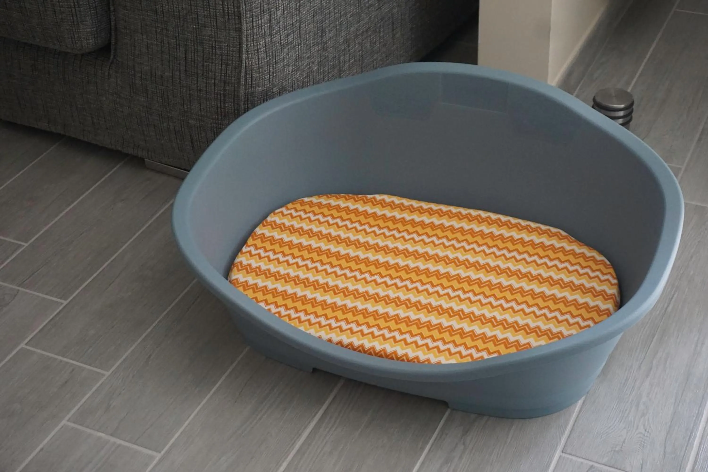 Pets in B&B Casa di Mimma