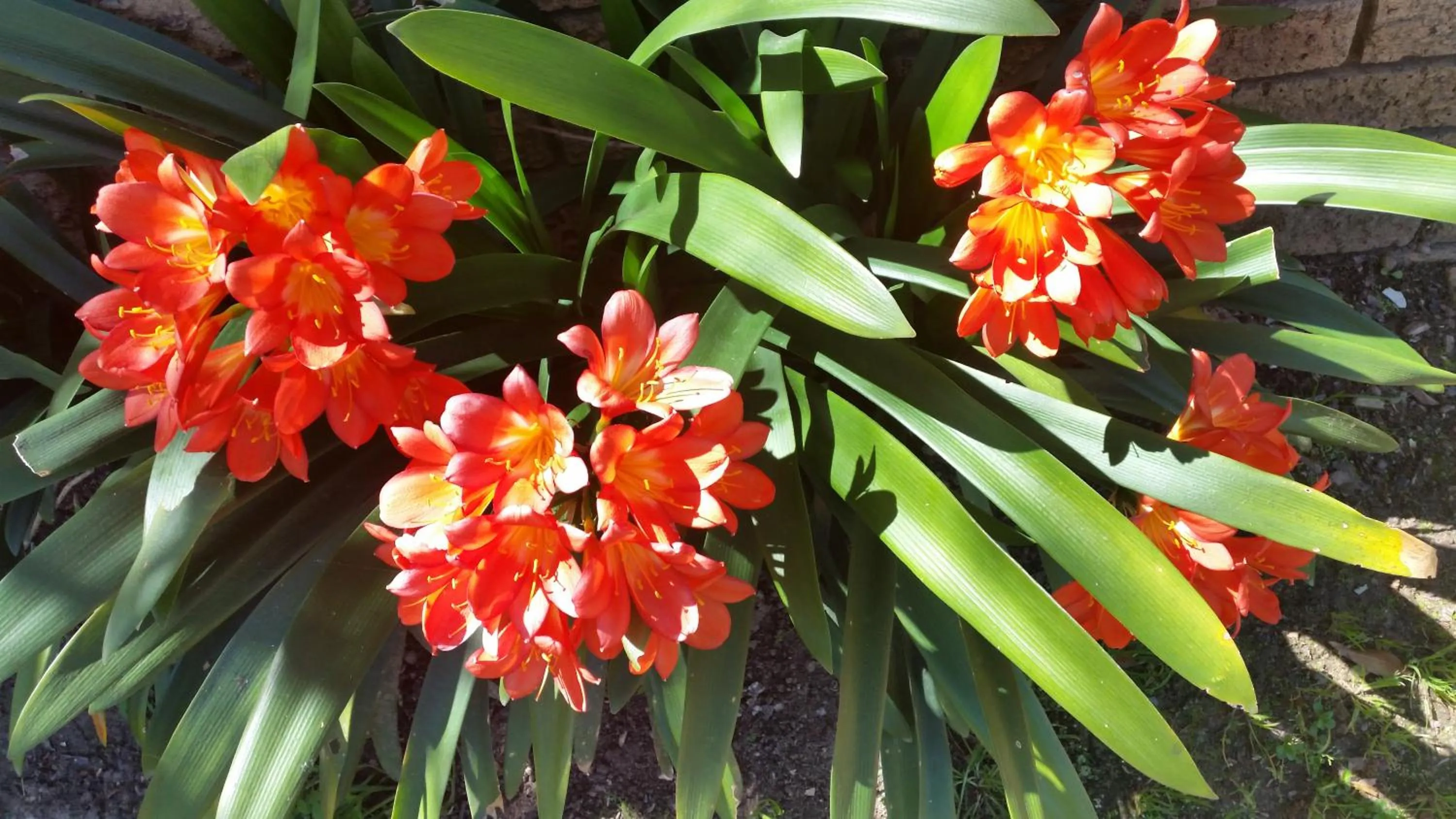 Property building in Besigheim