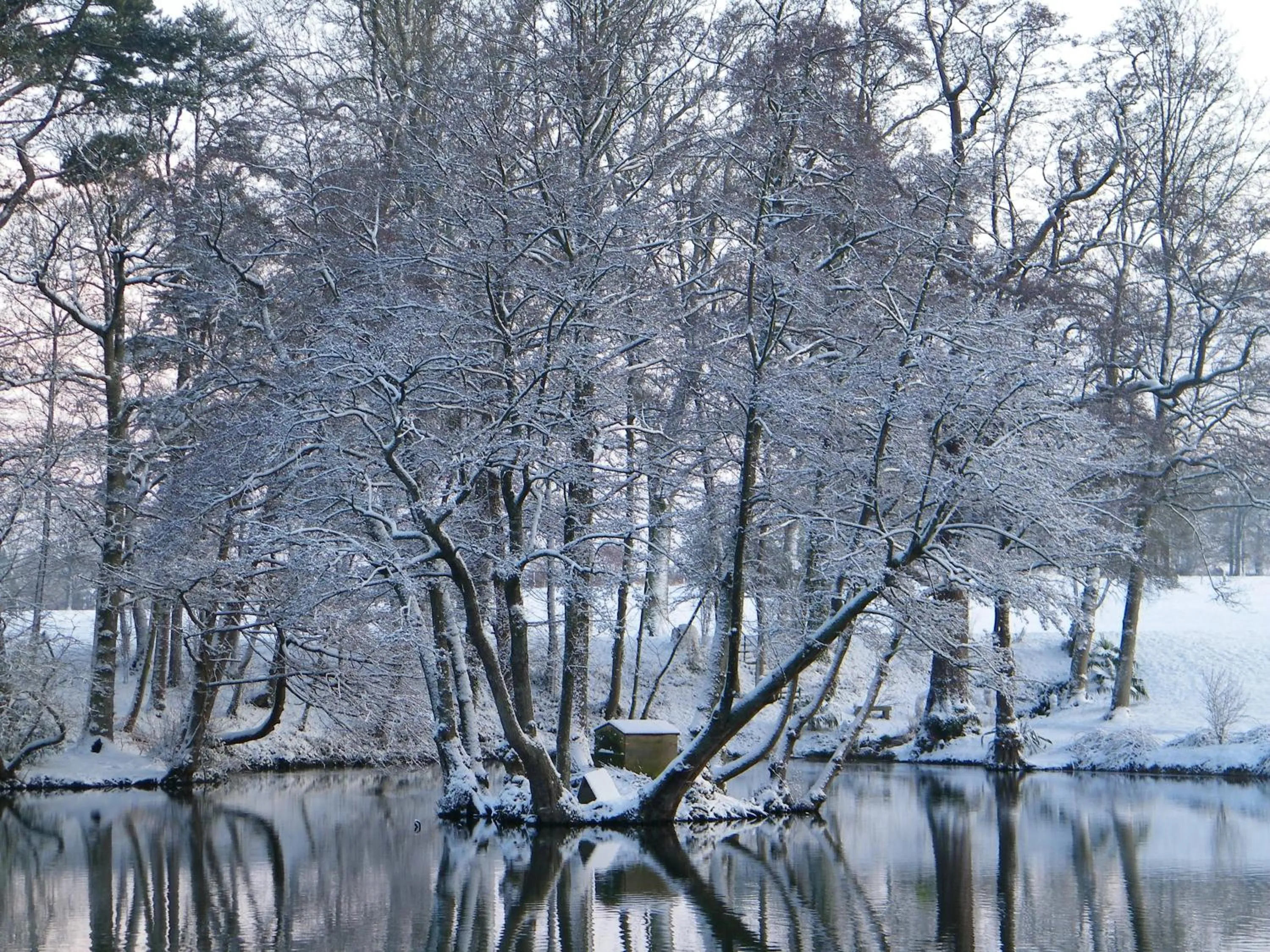 Garden view in Chateau de Canisy