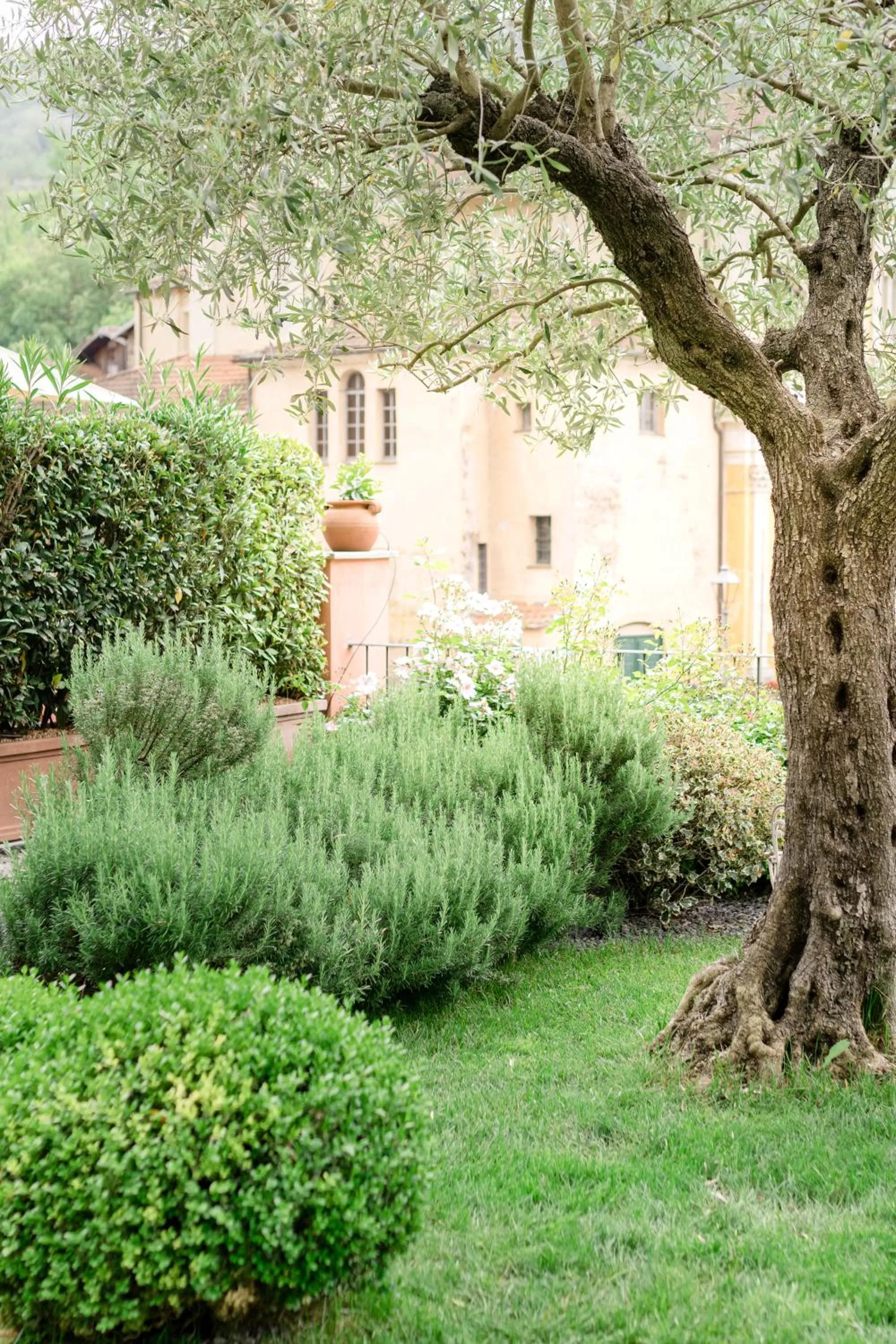 Garden in Relais Del Maro