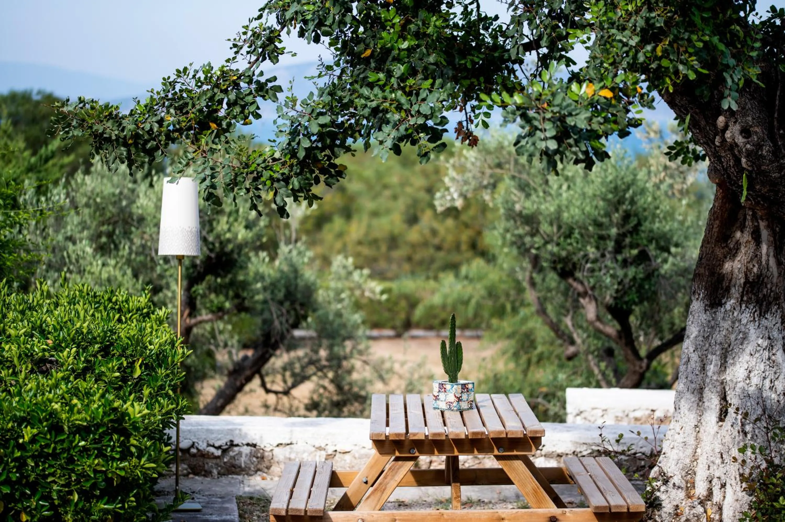 Patio in Galaxy Hotel