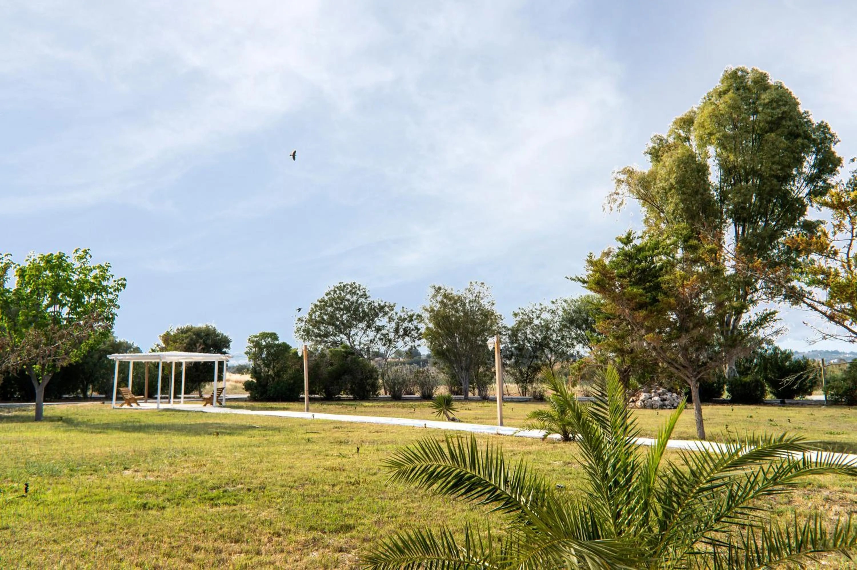 Garden in Galaxy Hotel