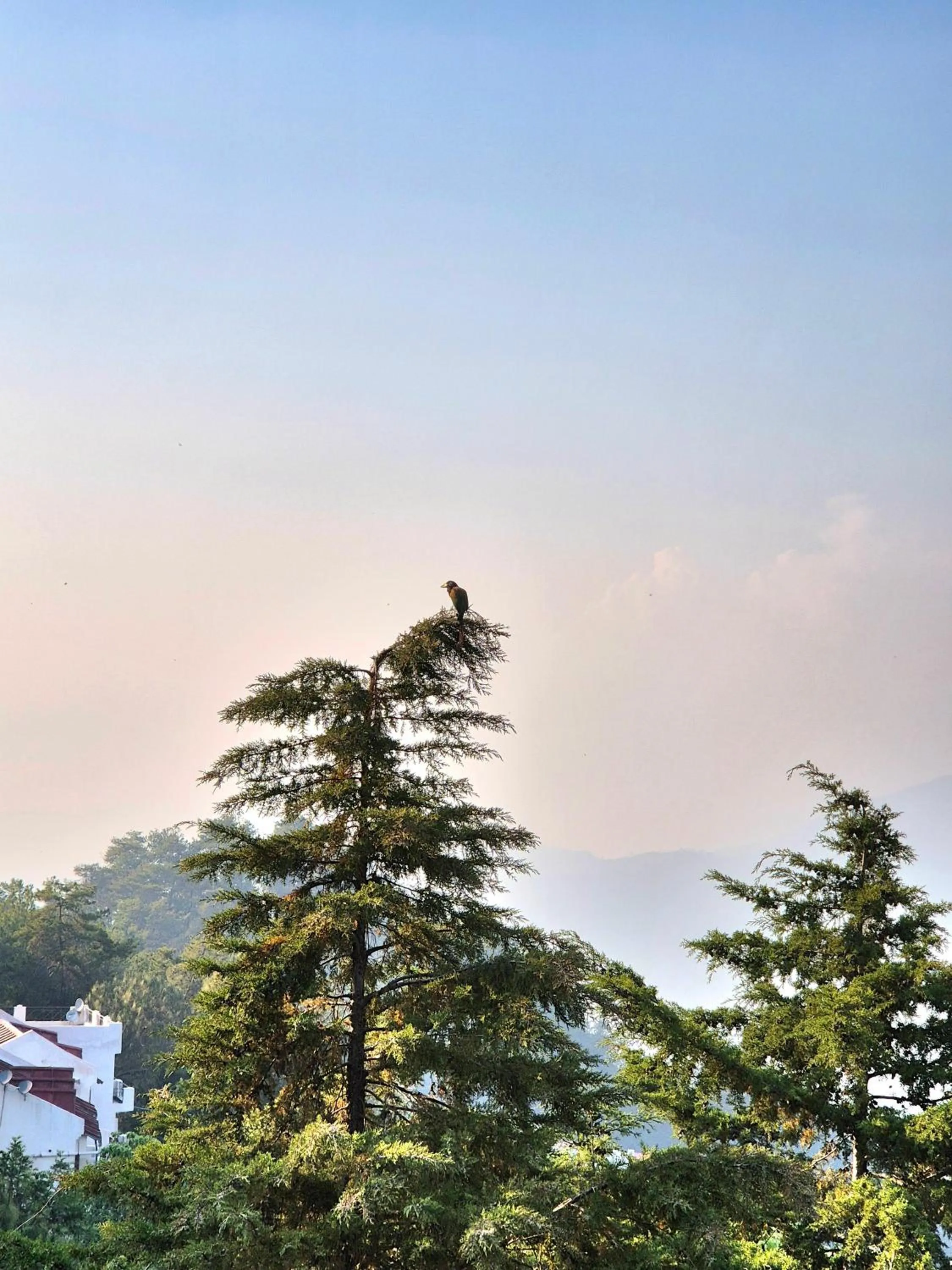 Fitness centre/facilities in Yak and Yeti Inn