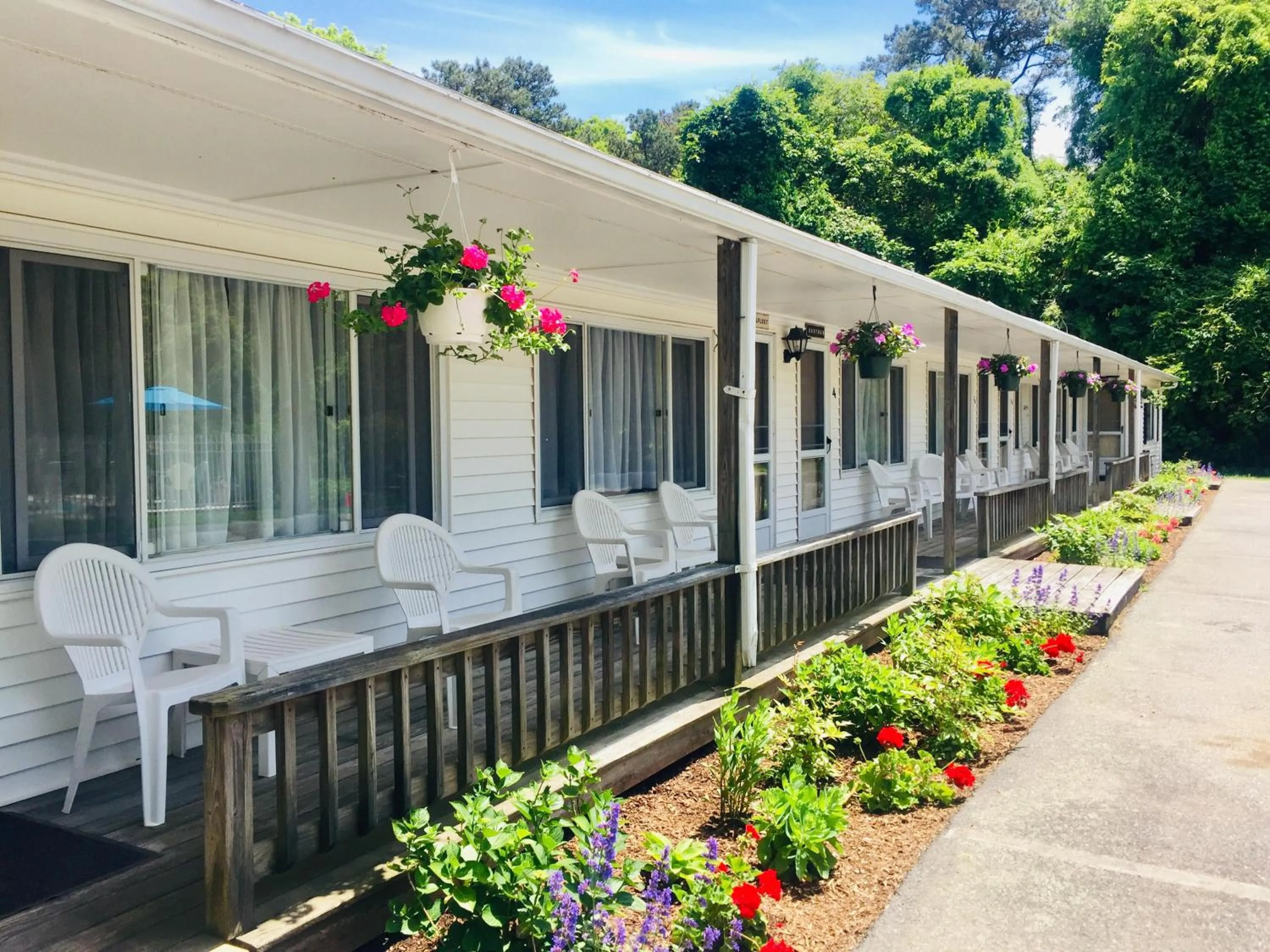Patio in Sesuit Harbor House