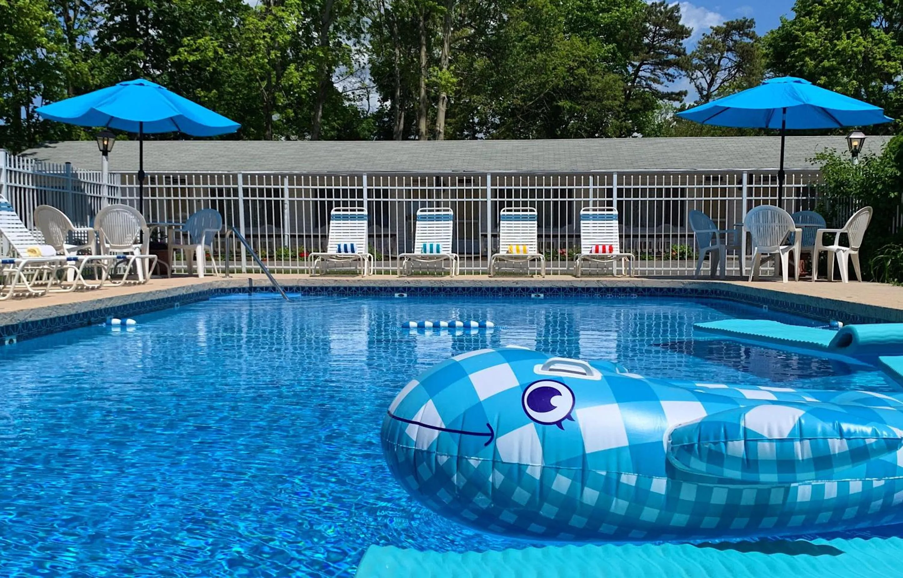 Pool view in Sesuit Harbor House