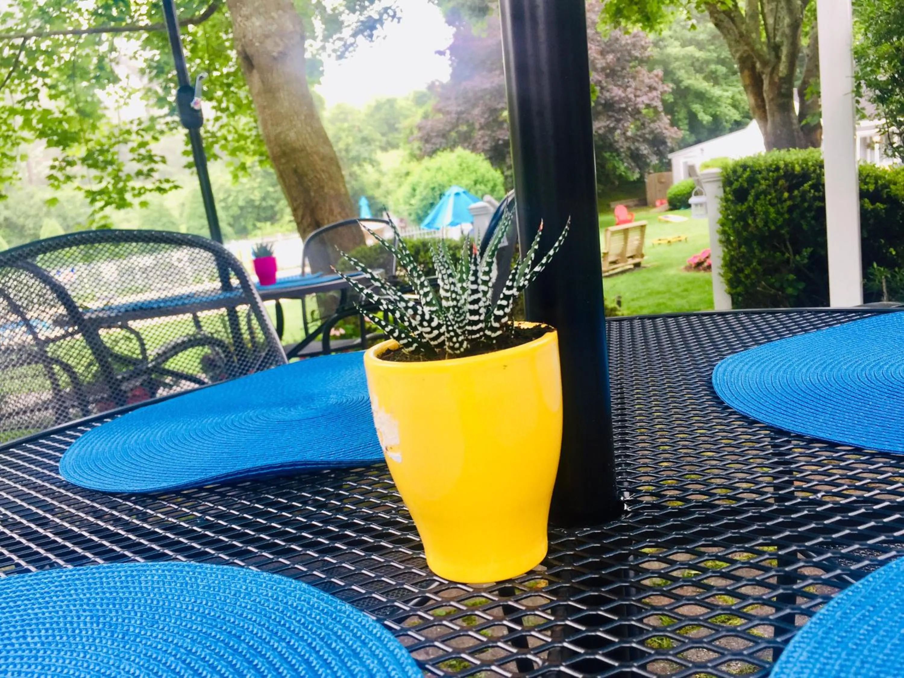 Garden in Sesuit Harbor House