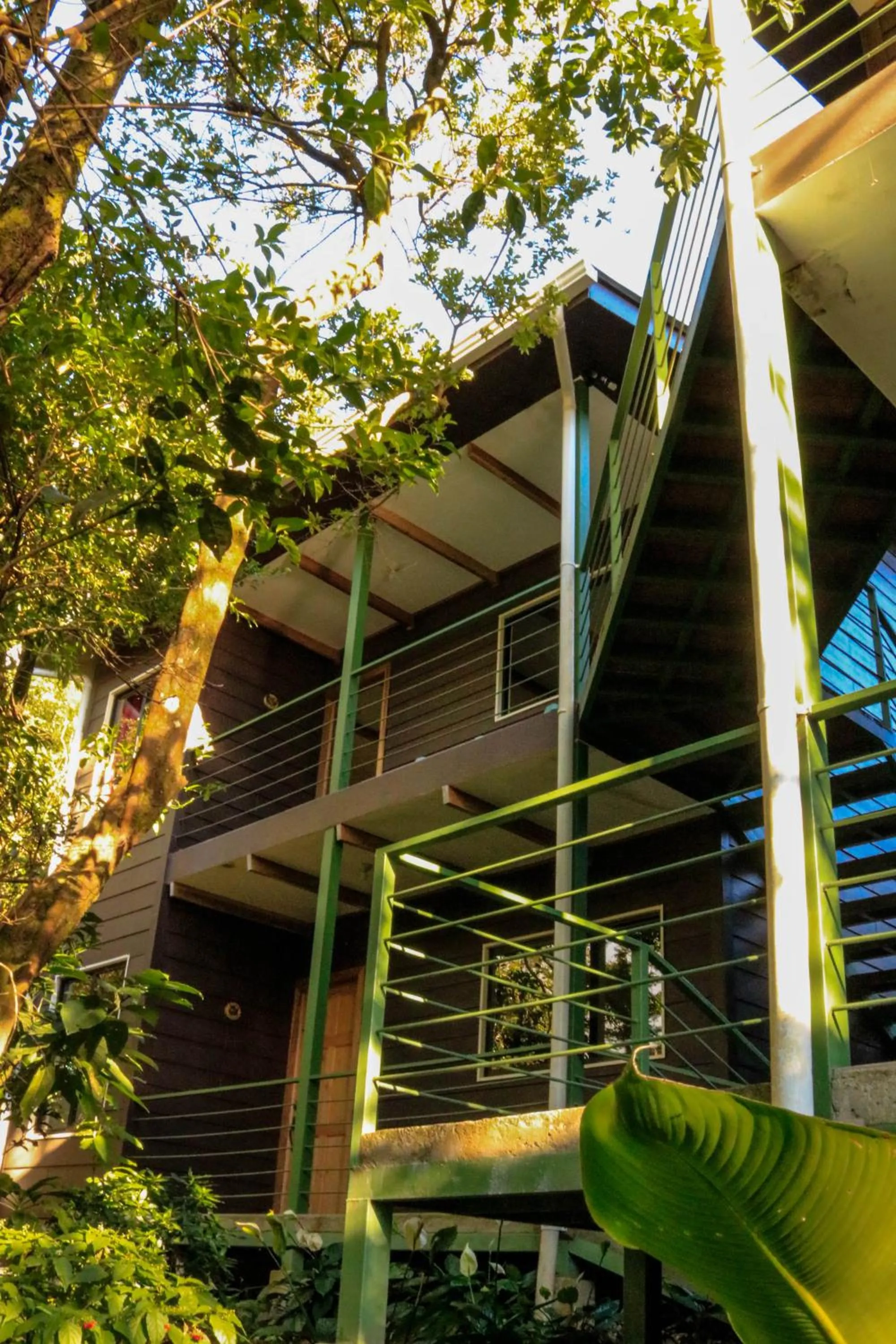 Moon Forest Apartments