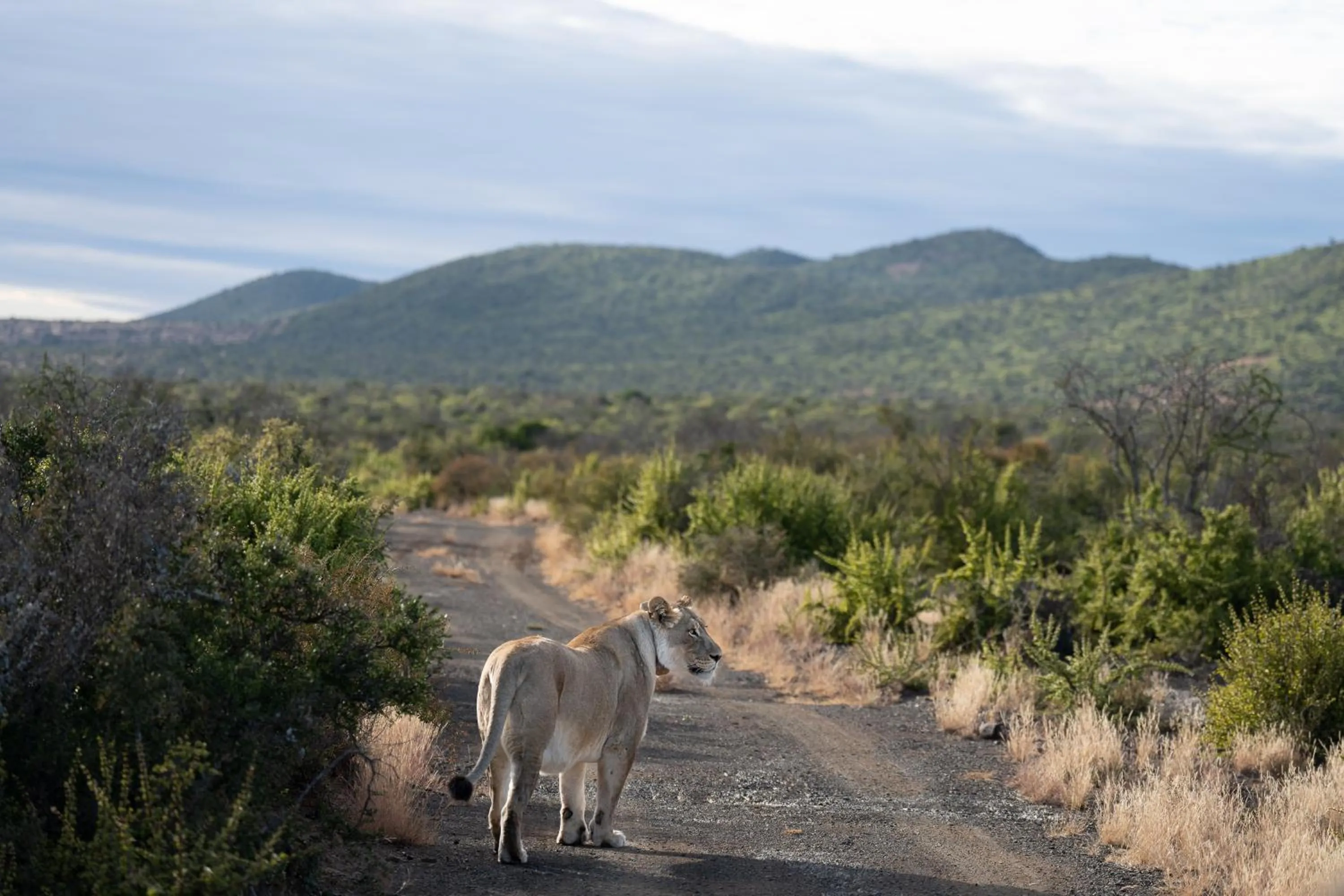 Natural landscape in Kuzuko Lodge