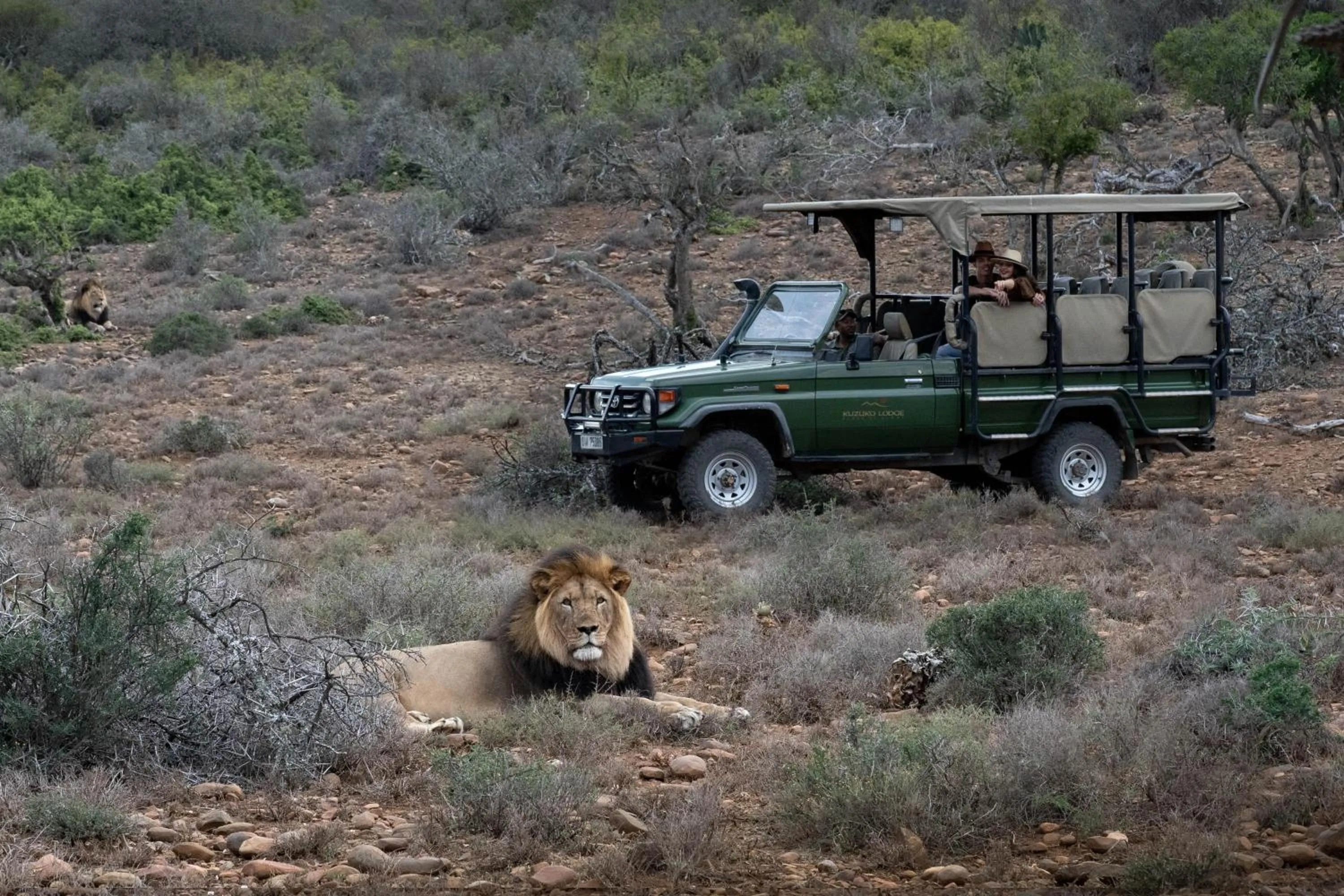 Natural landscape in Kuzuko Lodge