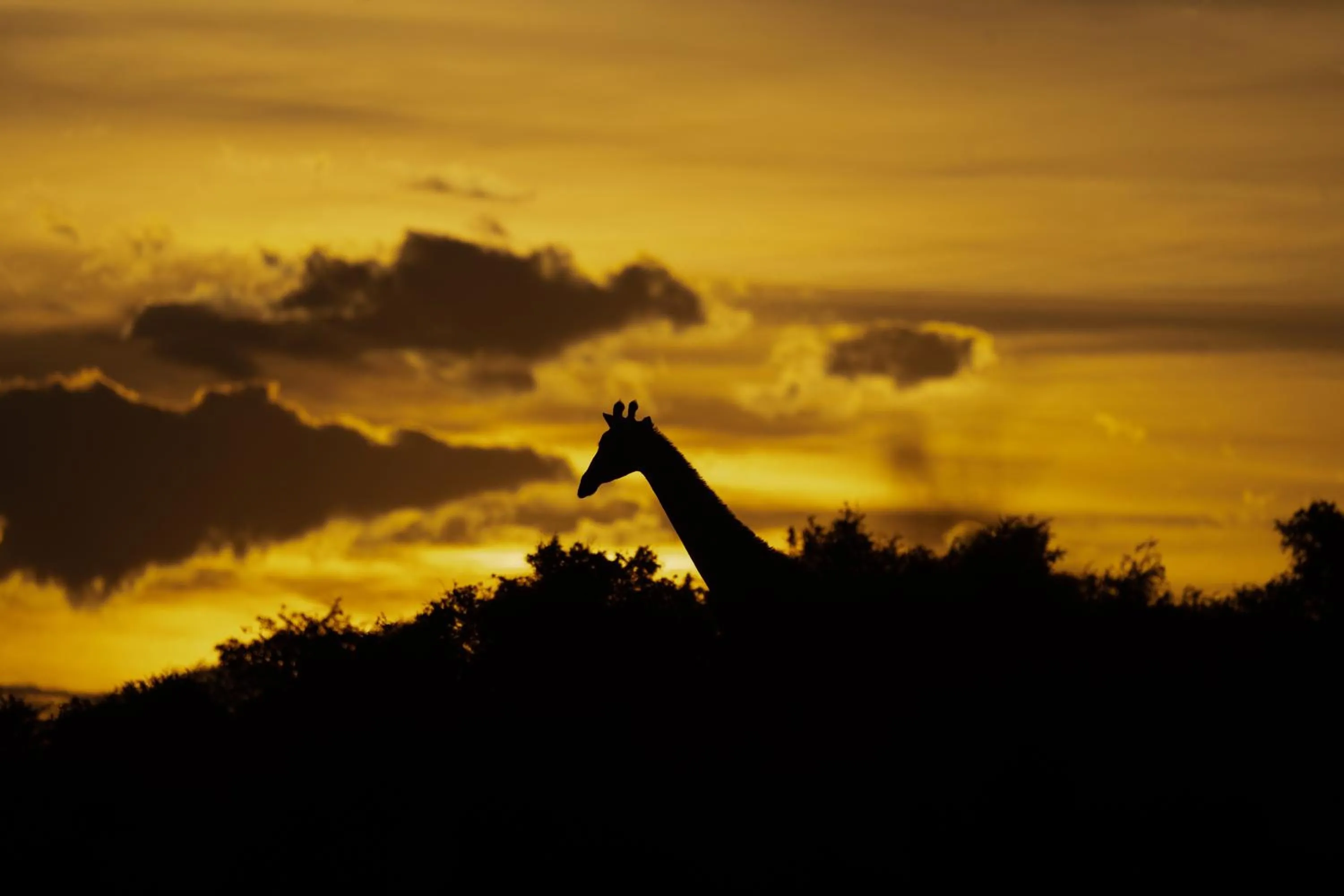 Sunset in Kuzuko Lodge