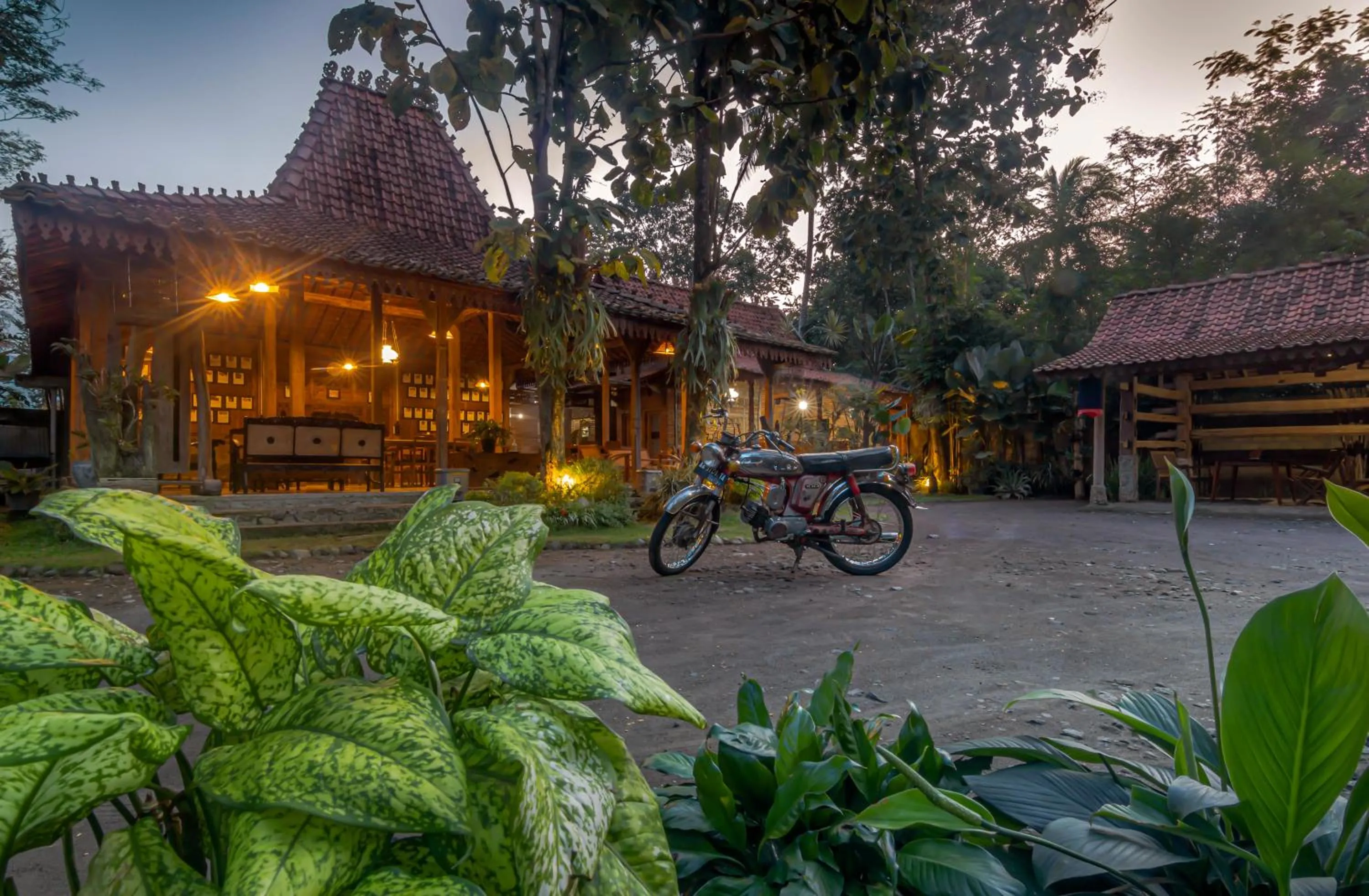 Restaurant/places to eat in The Omah Borobudur