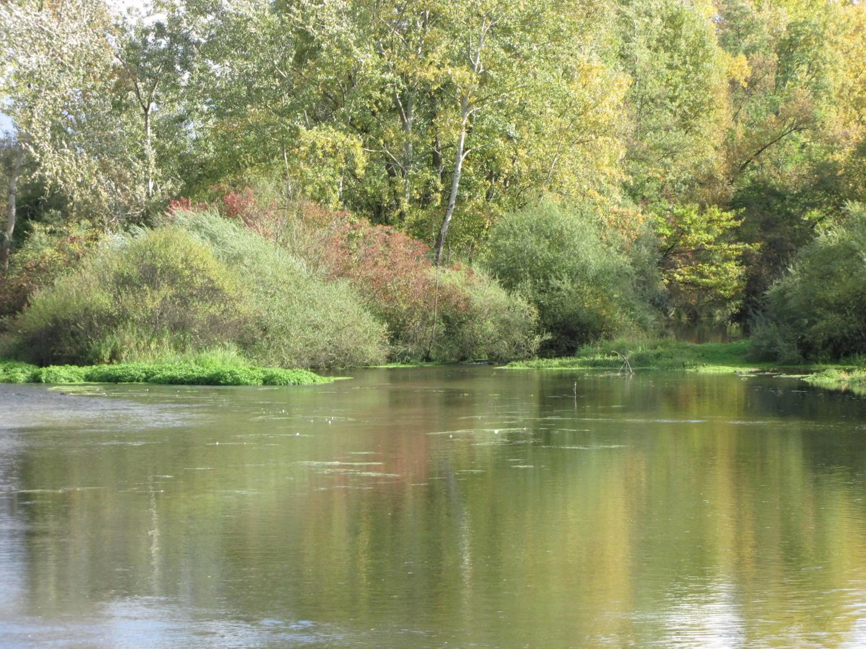 View (from property/room) in Hotel Le Caballin
