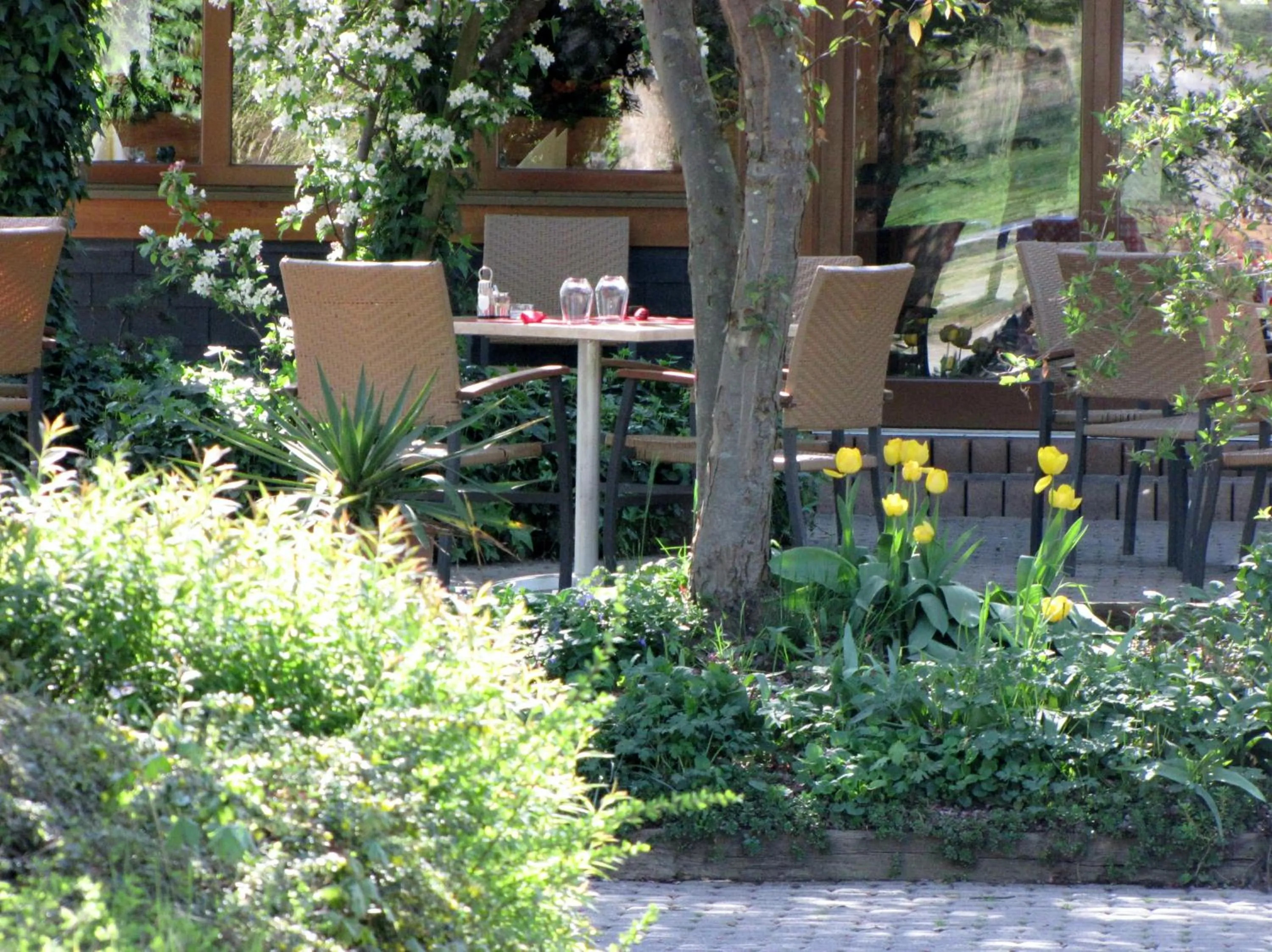 Balcony/Terrace in Hotel Le Caballin