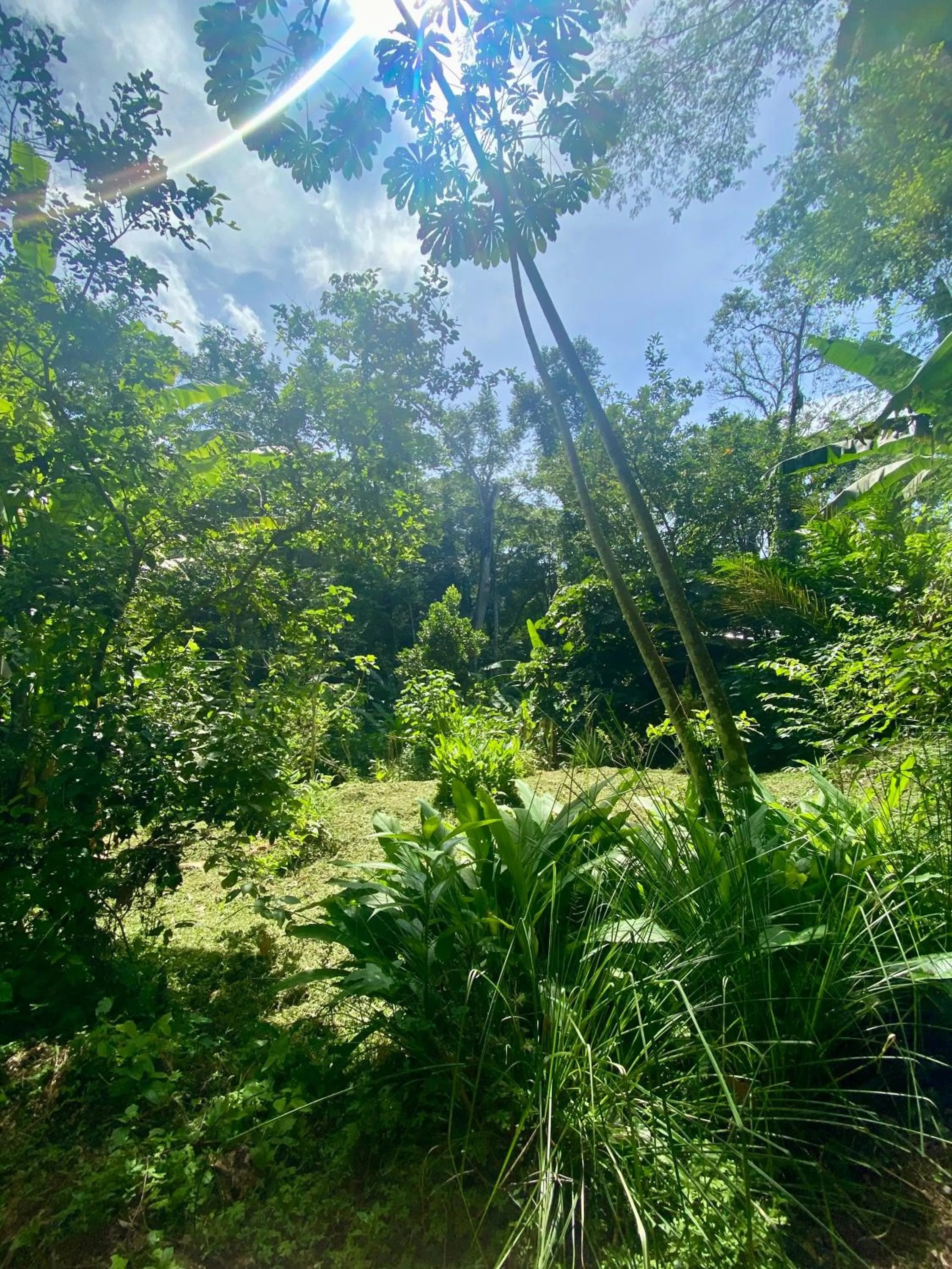 Natural landscape in La Shamana - Ecological Concept in Jungle