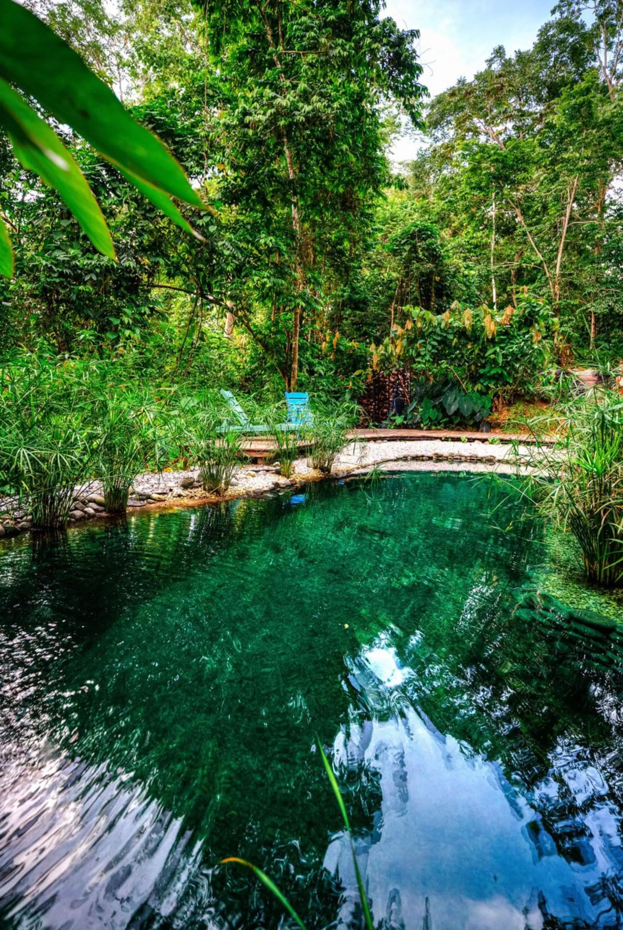 Patio in La Shamana - Ecological Concept in Jungle