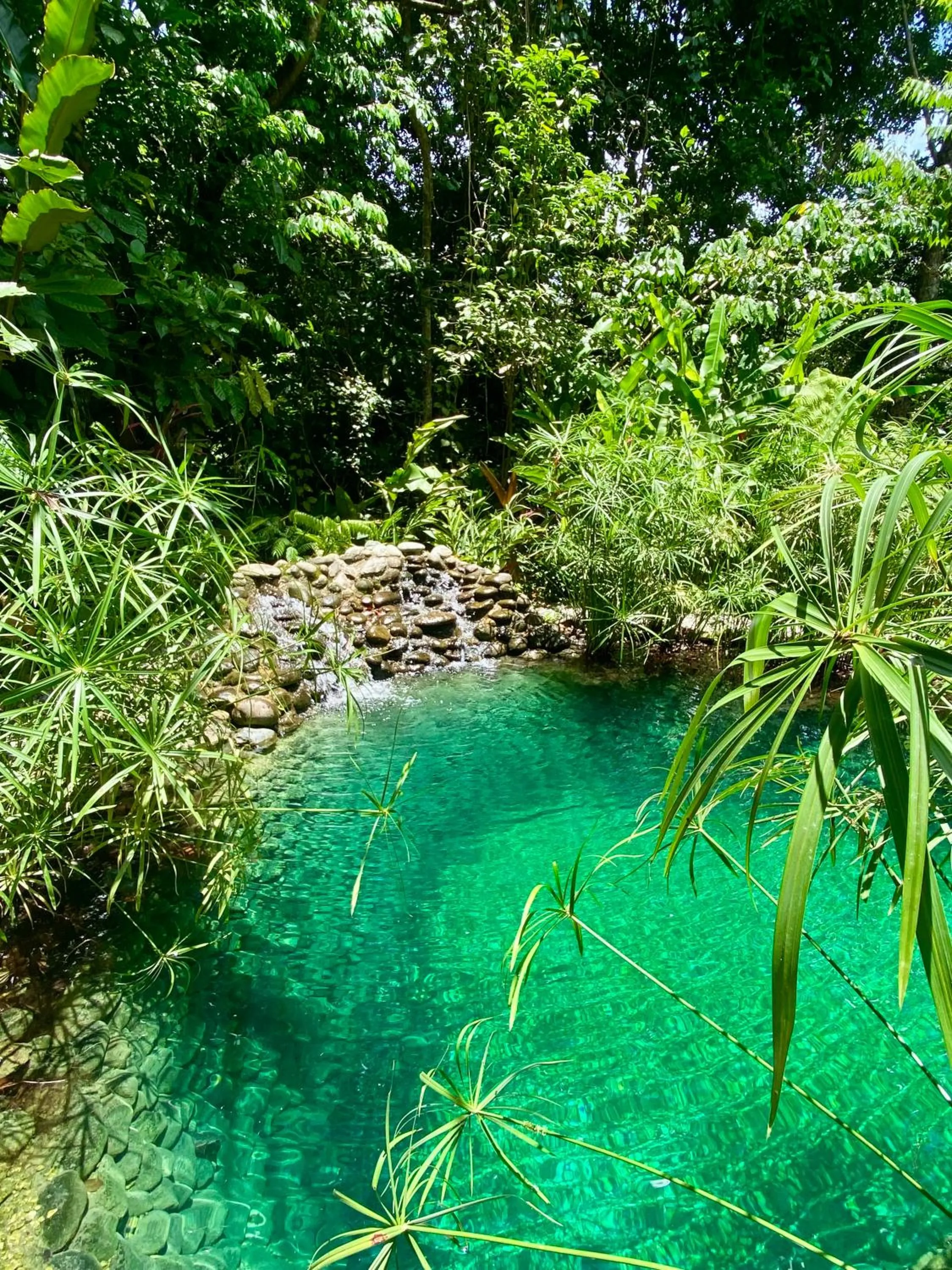 Swimming pool in La Shamana - Ecological Concept in Jungle