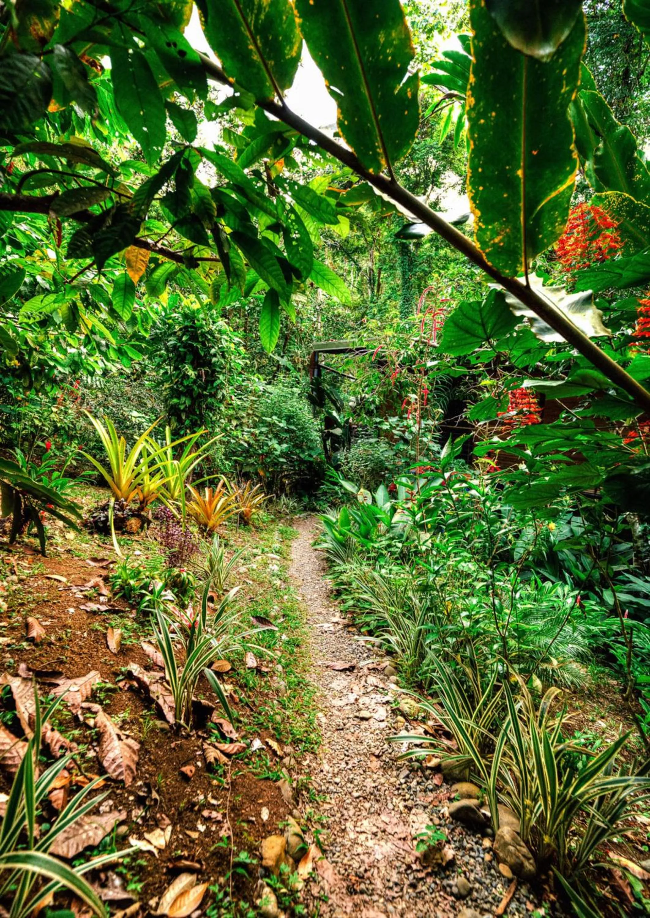 Natural landscape in La Shamana - Ecological Concept in Jungle