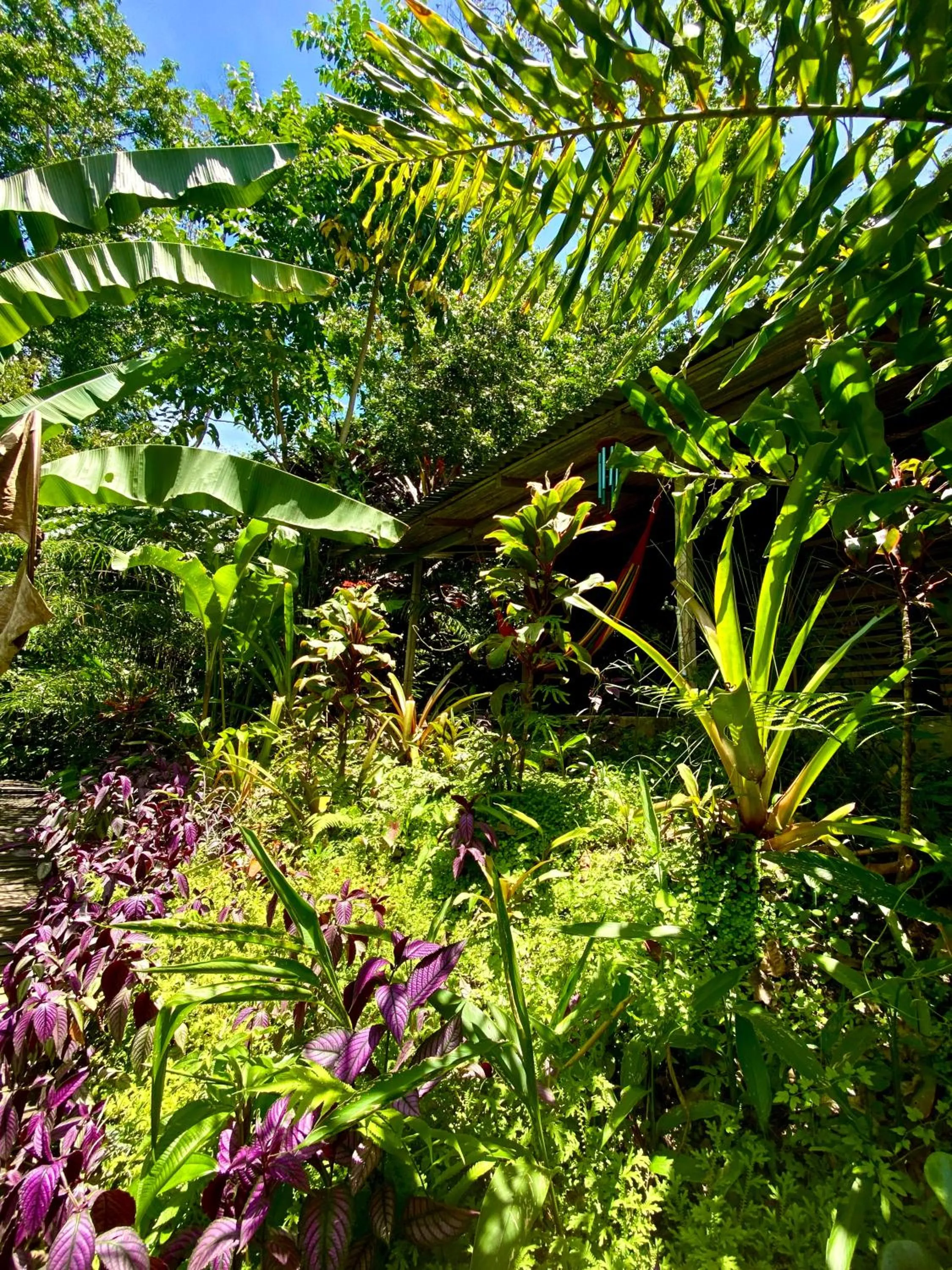 Patio in La Shamana - Ecological Concept in Jungle