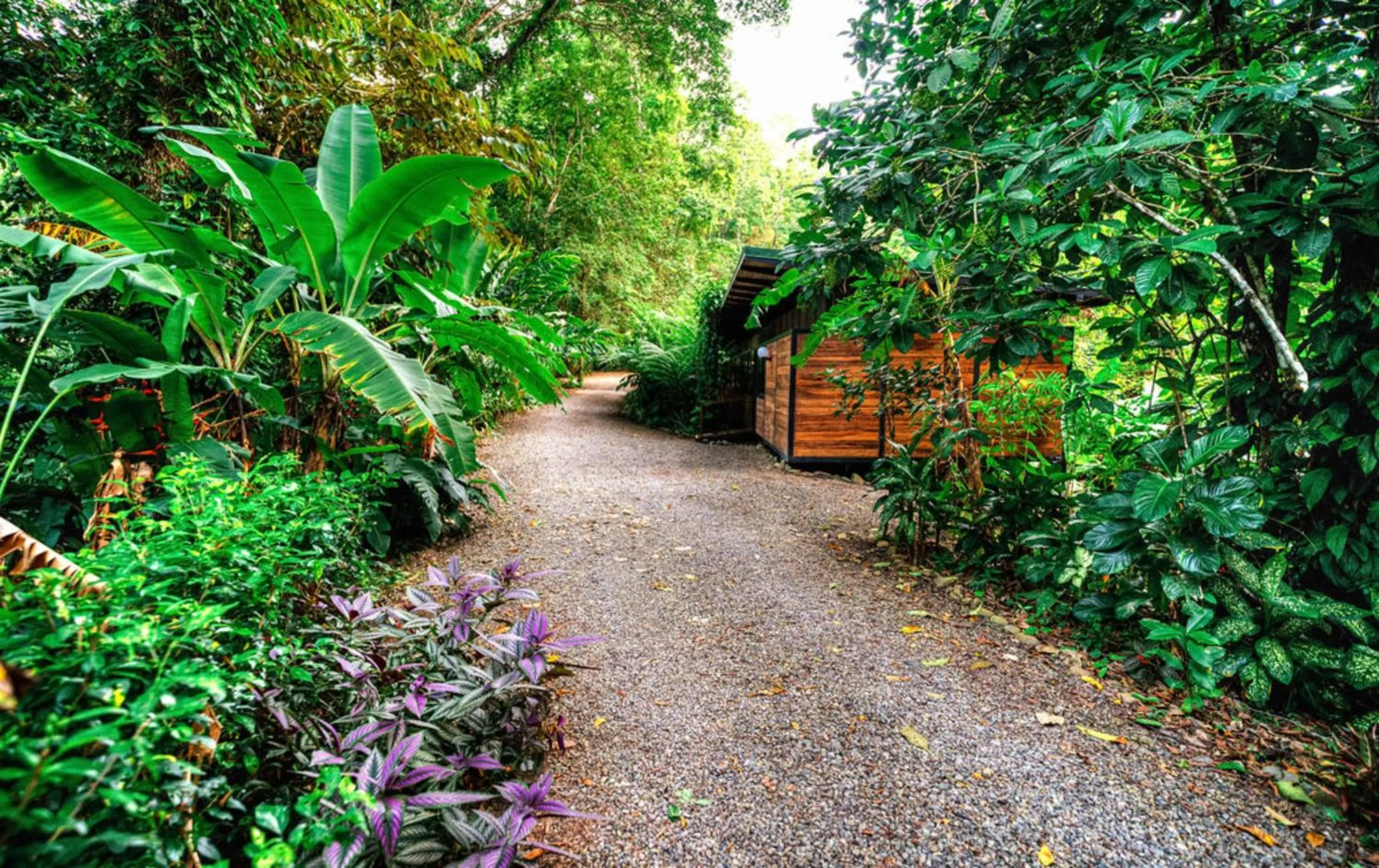 Facade/entrance in La Shamana - Ecological Concept in Jungle