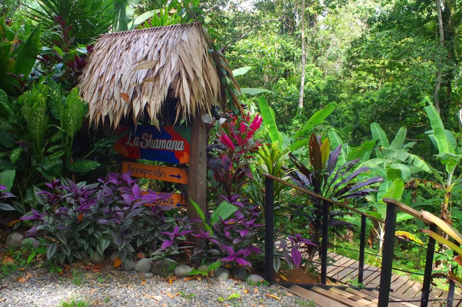 Facade/entrance in La Shamana - Ecological Concept in Jungle