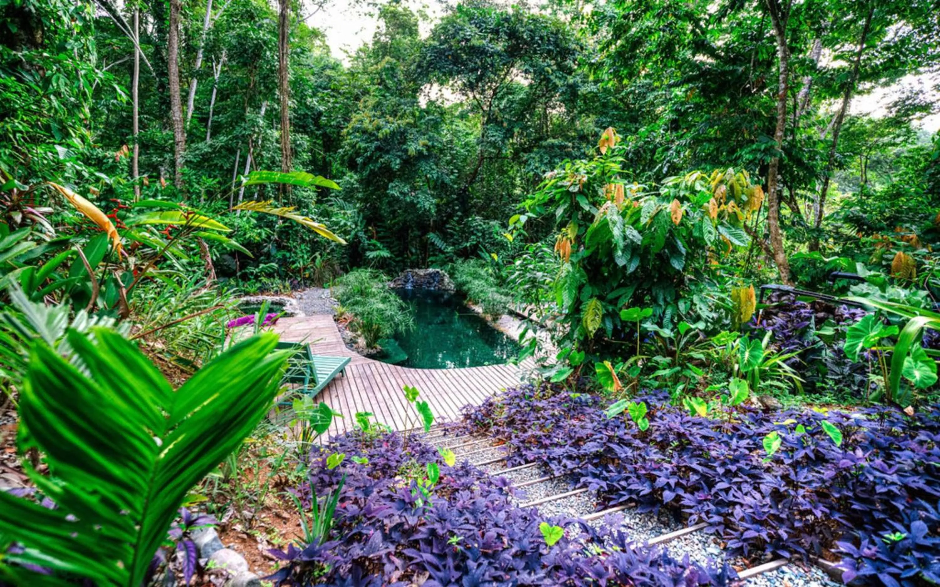 Garden in La Shamana - Ecological Concept in Jungle