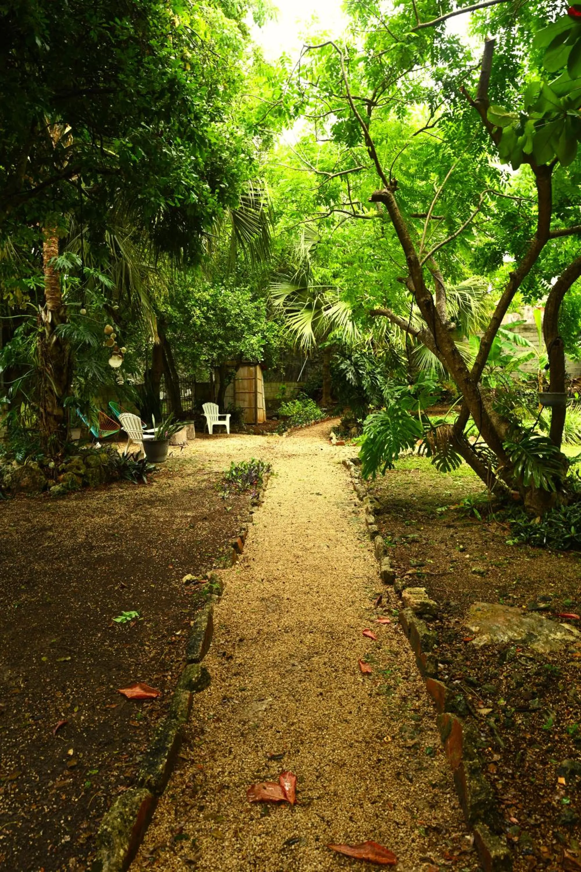 Garden in Gran Jaguar Hotel
