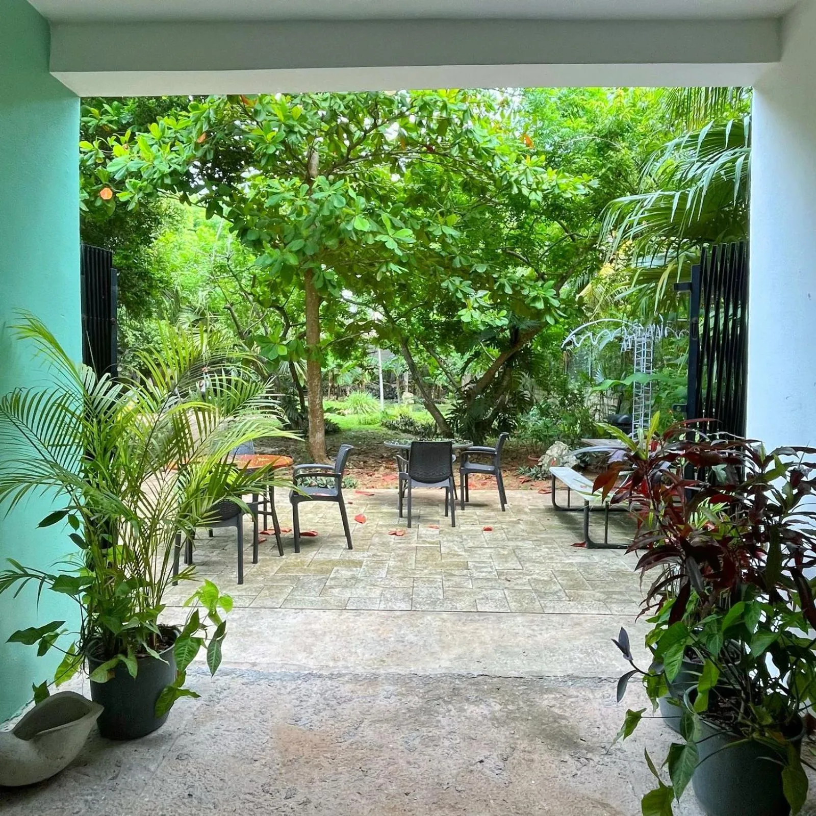 Patio in Gran Jaguar Hotel